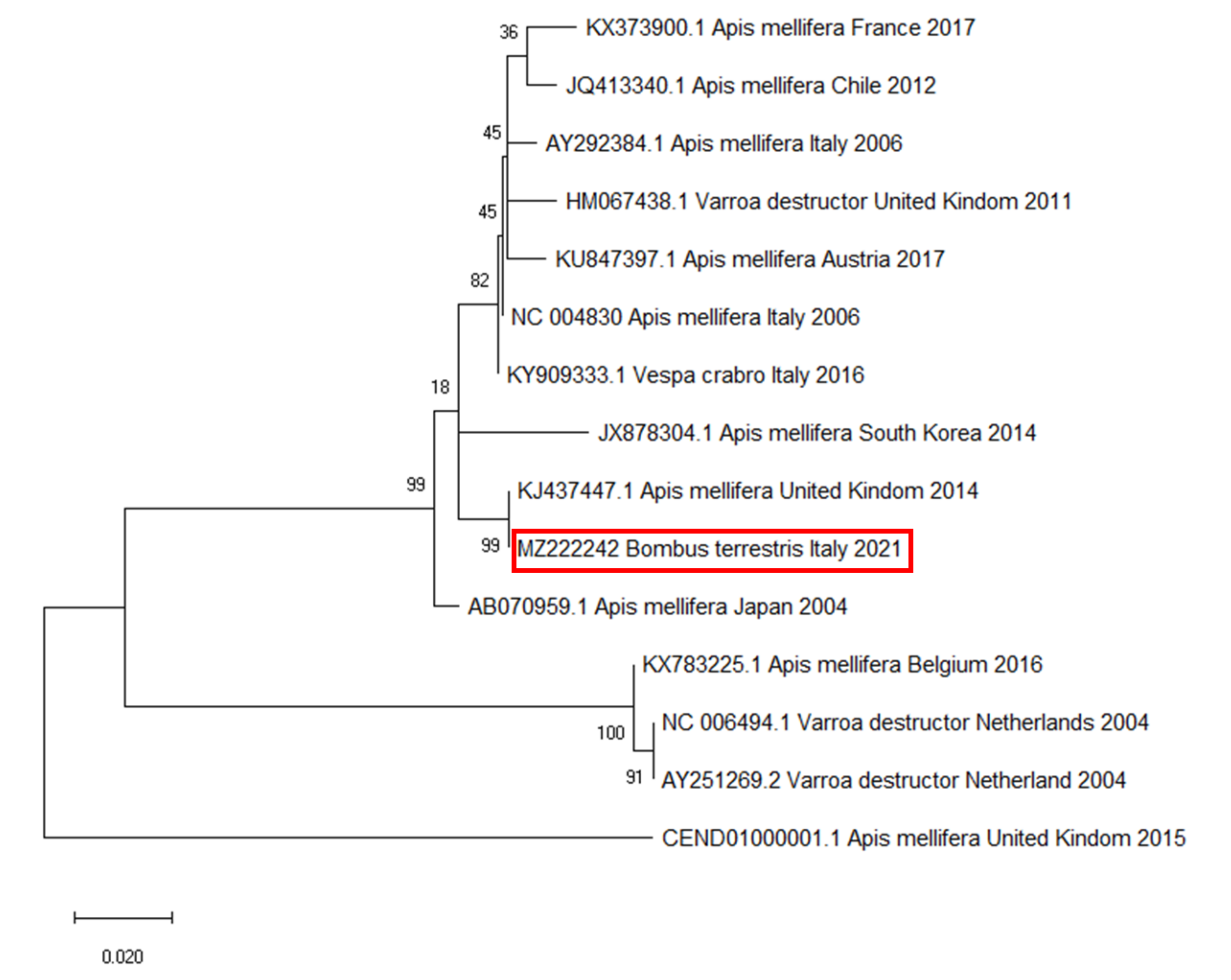 Vetsci 08 00117 g005