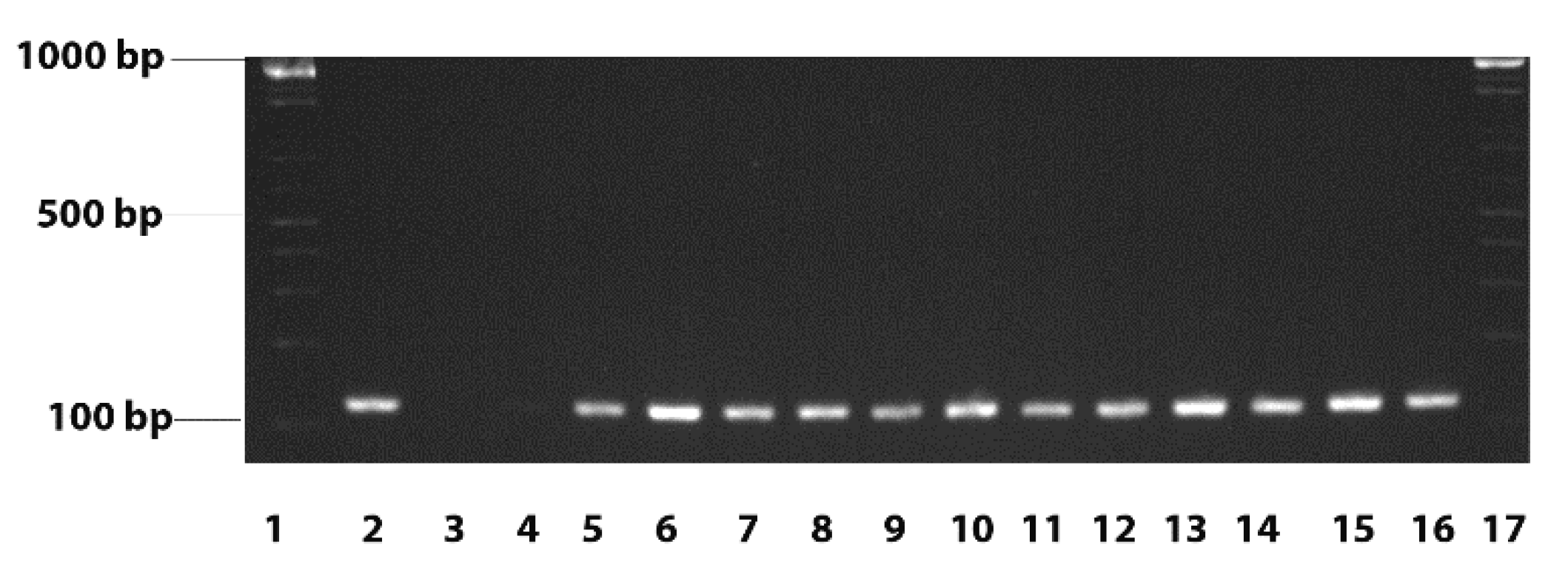 Vetsci 08 00135 g001 Vetsci 08 00135 g001