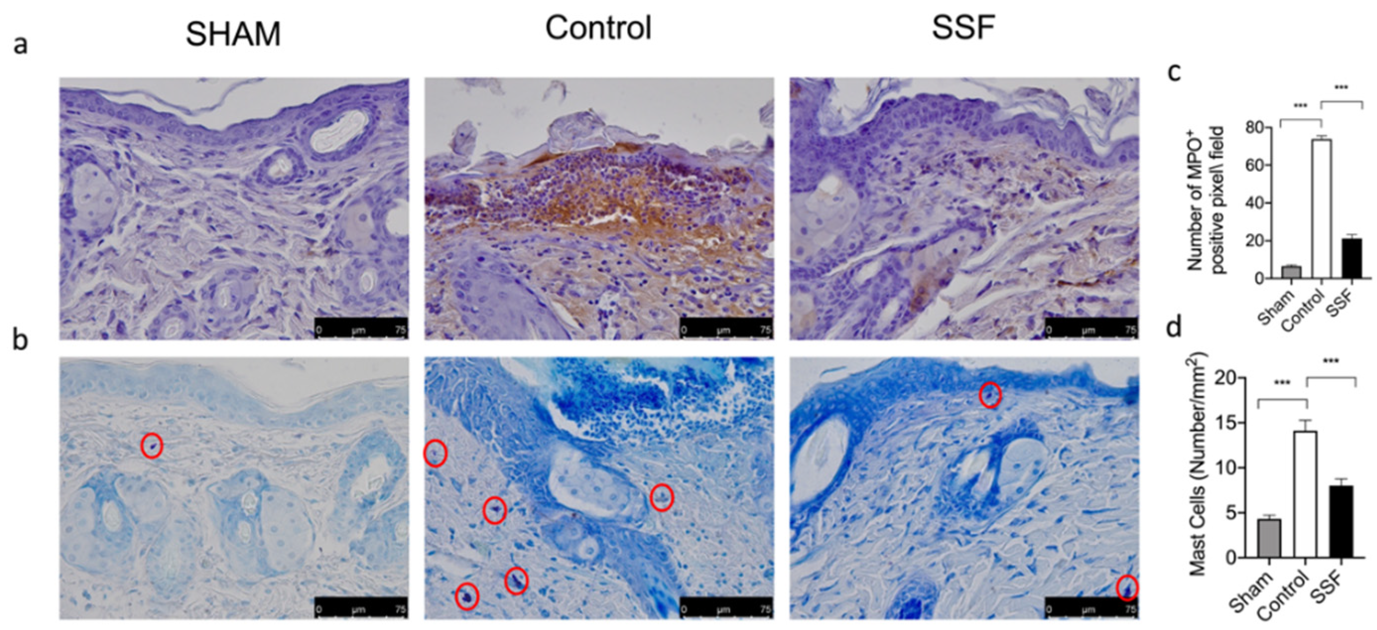 Vetsci 08 00167 g005
