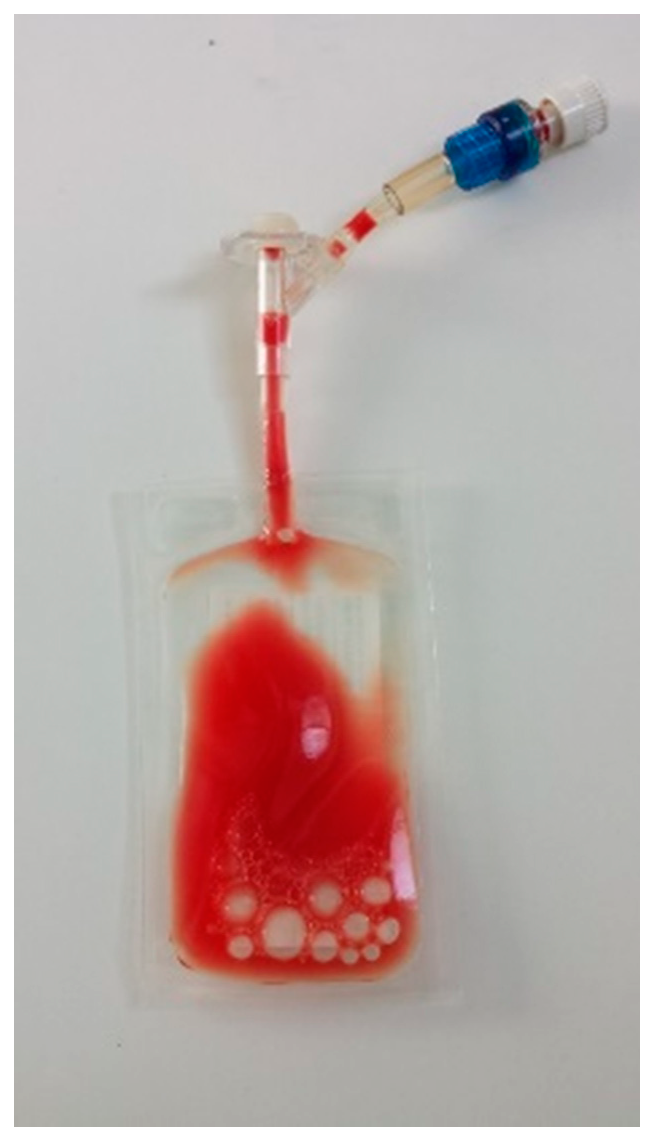 Vetsci 08 00172 g001 Vetsci 08 00172 g001