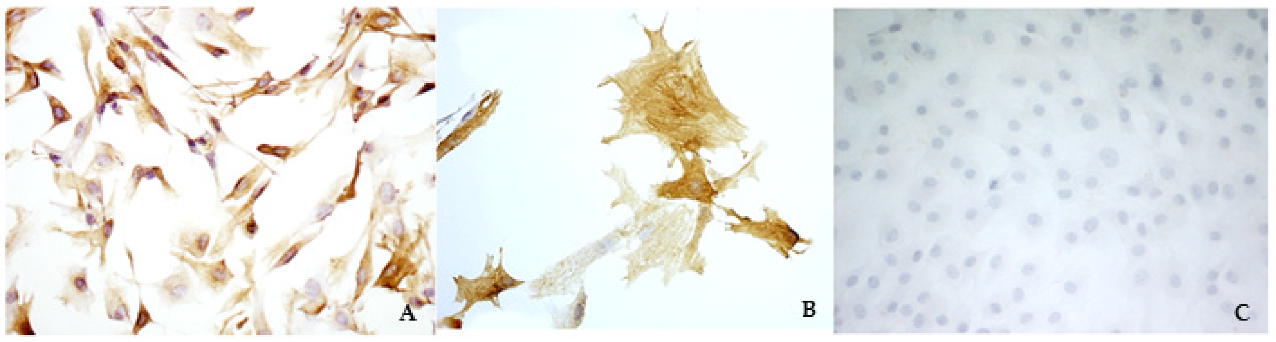 Vetsci 08 00183 g001