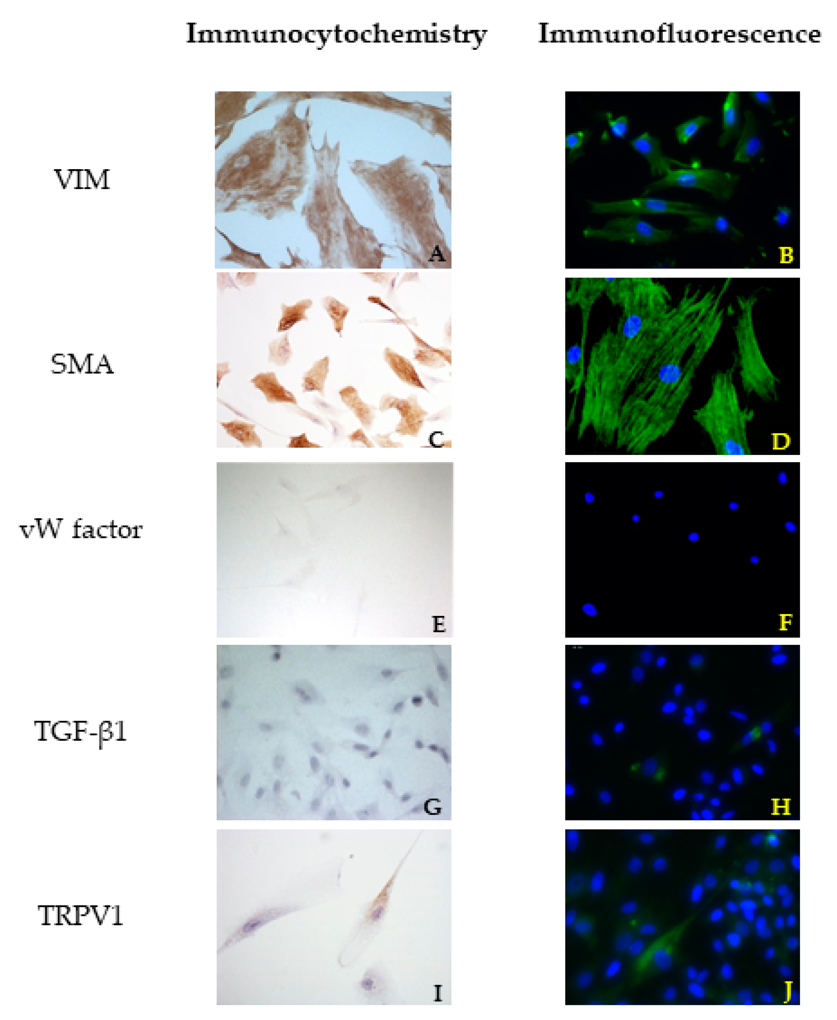 Vetsci 08 00183 g002