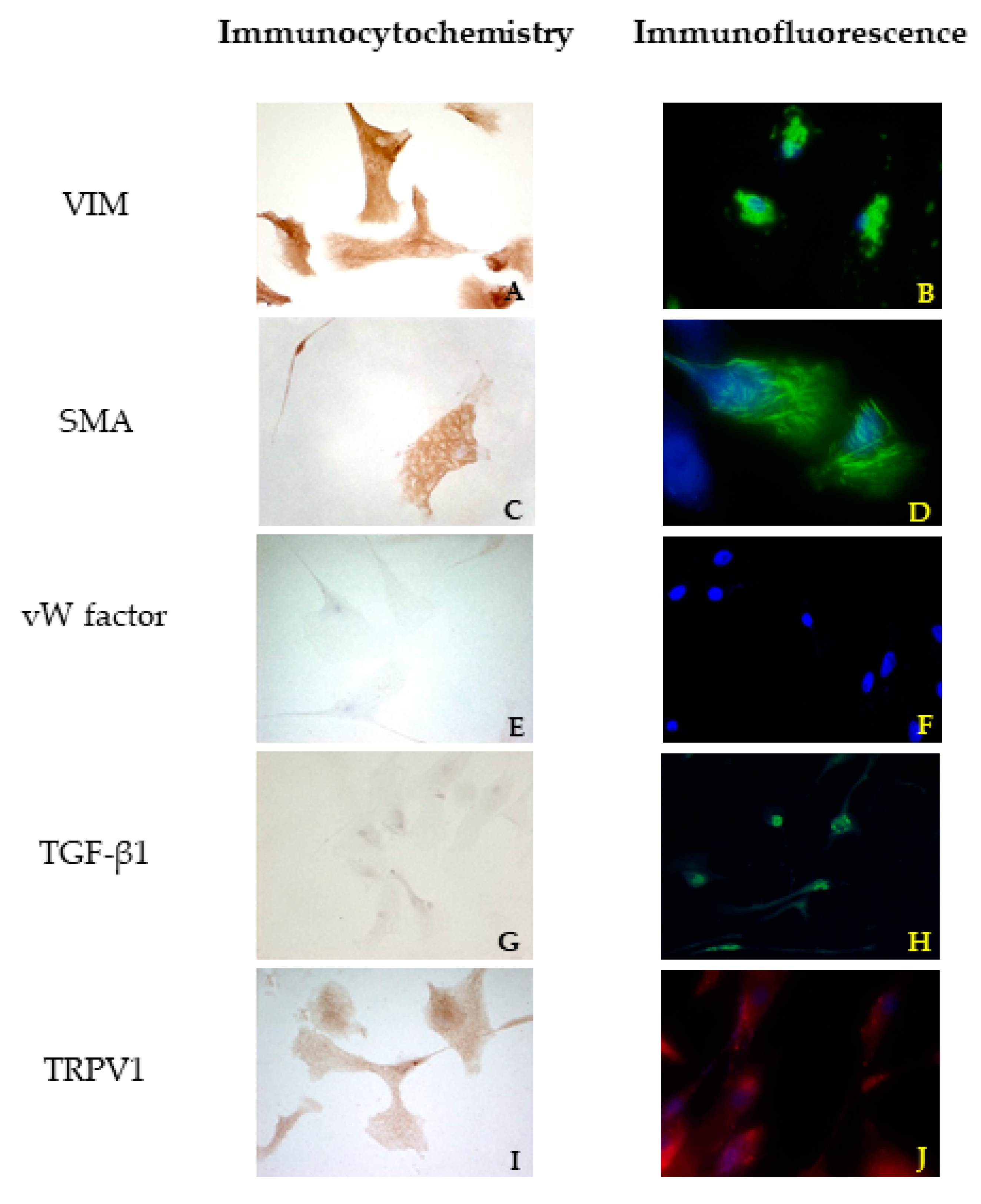 Vetsci 08 00183 g003
