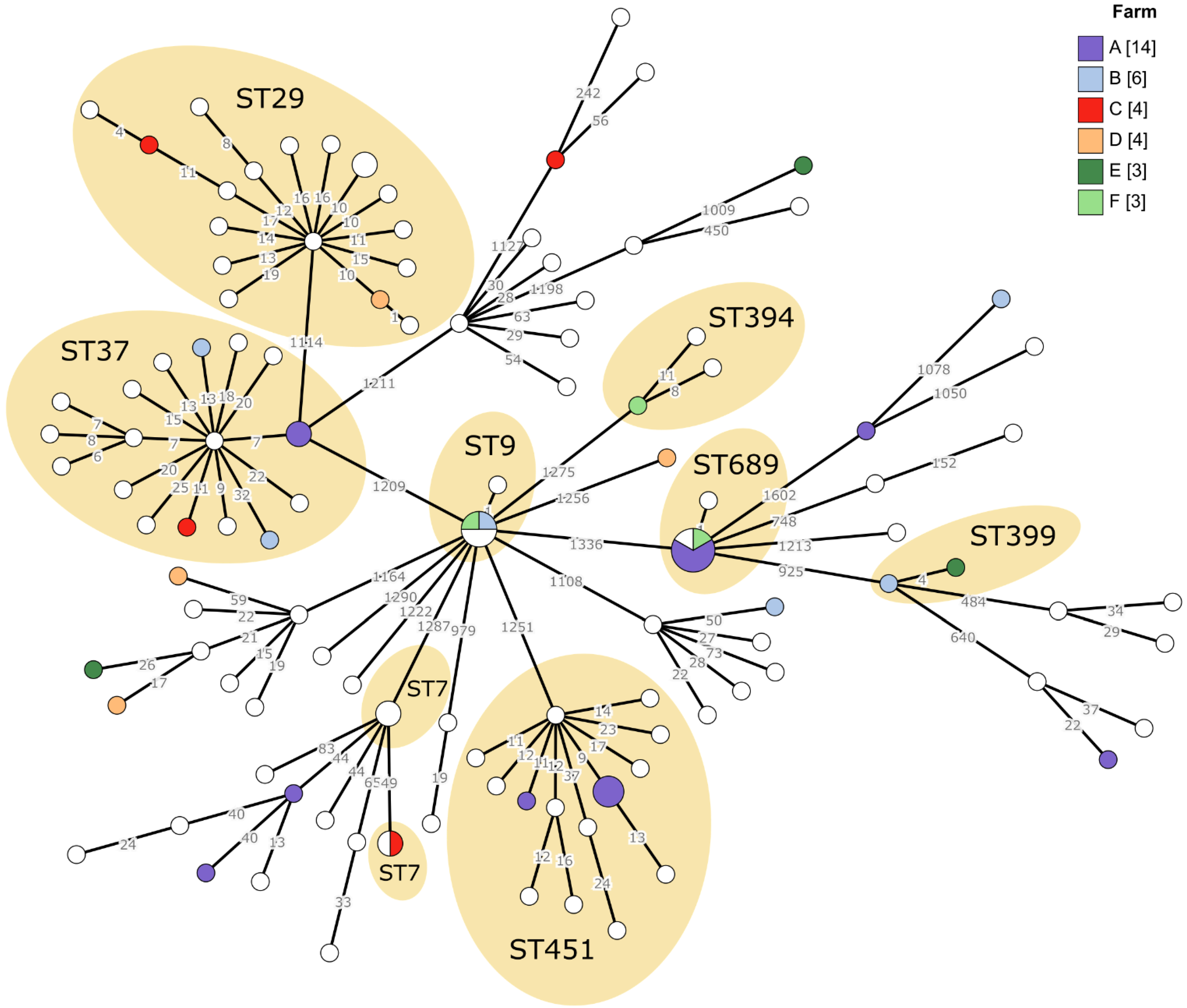 Vetsci 08 00195 g002