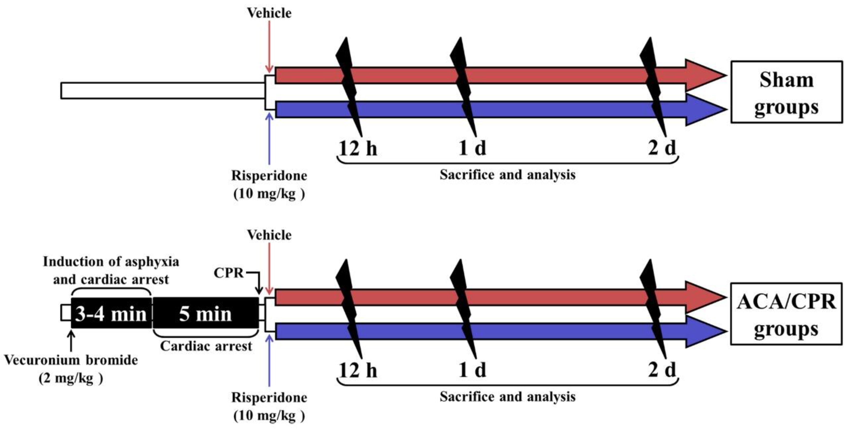 Vetsci 08 00230 g001