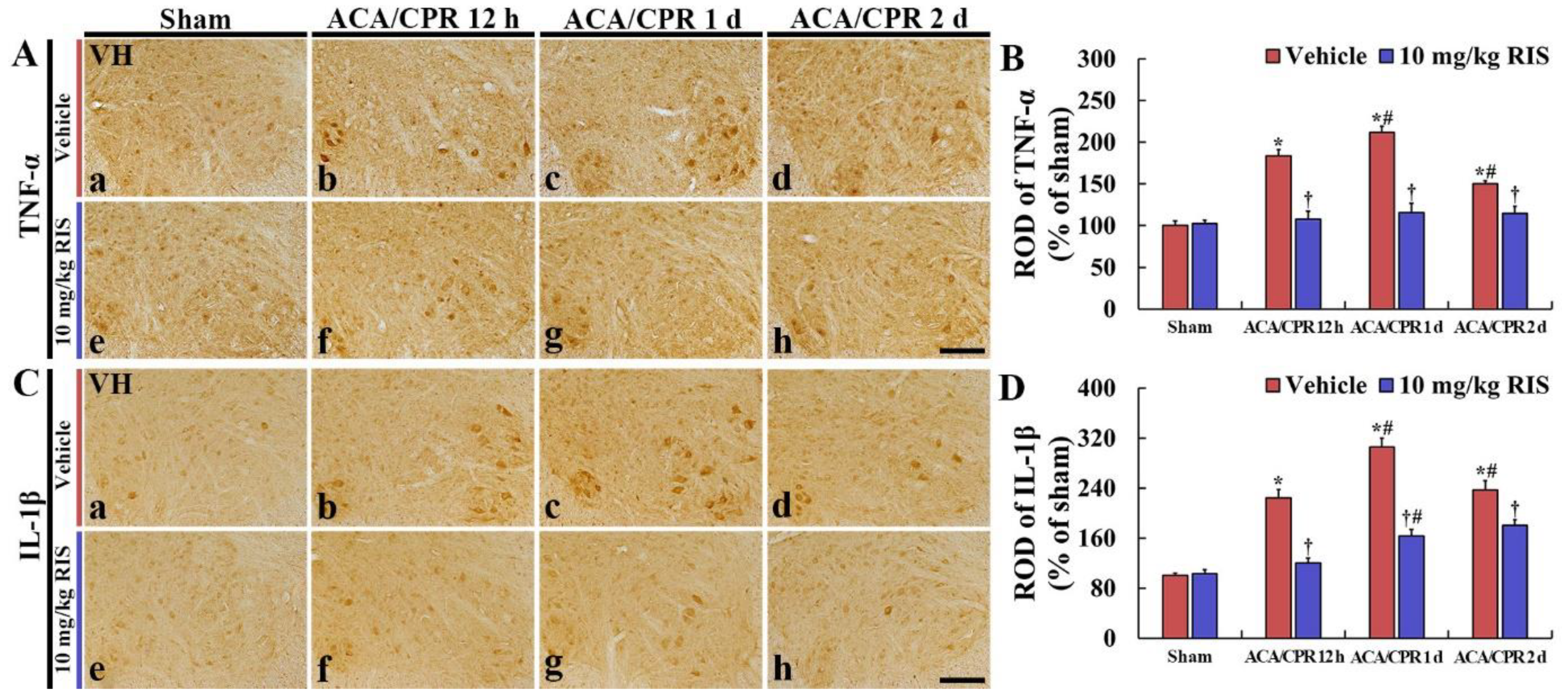 Vetsci 08 00230 g005