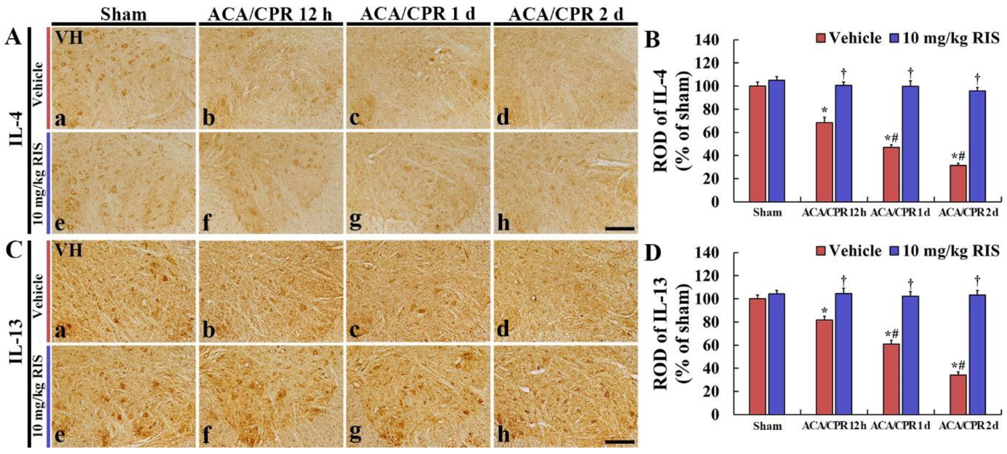 Vetsci 08 00230 g006