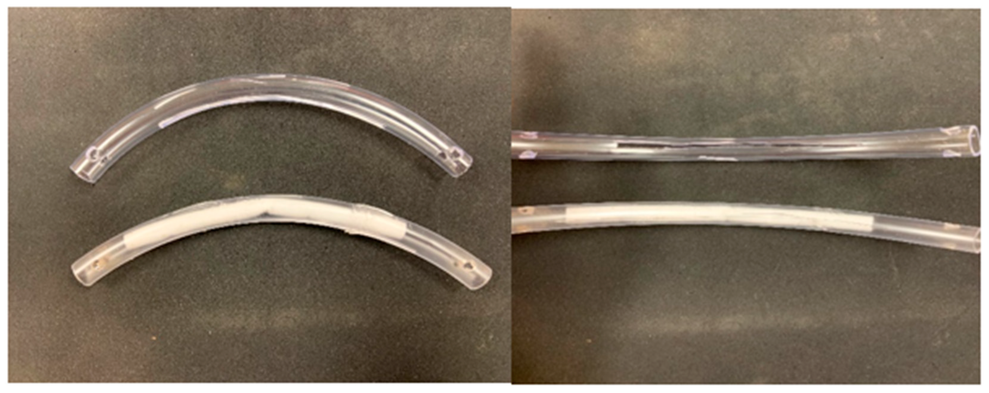 Vetsci 08 00232 g001