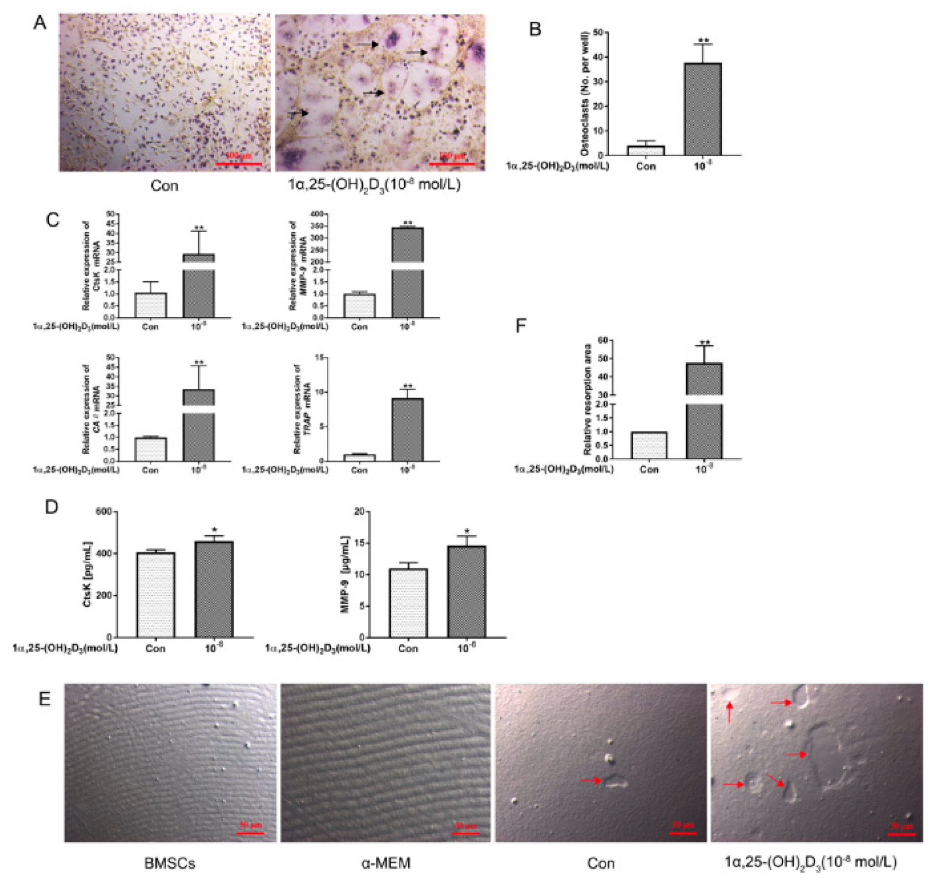 Vetsci 08 00234 g001
