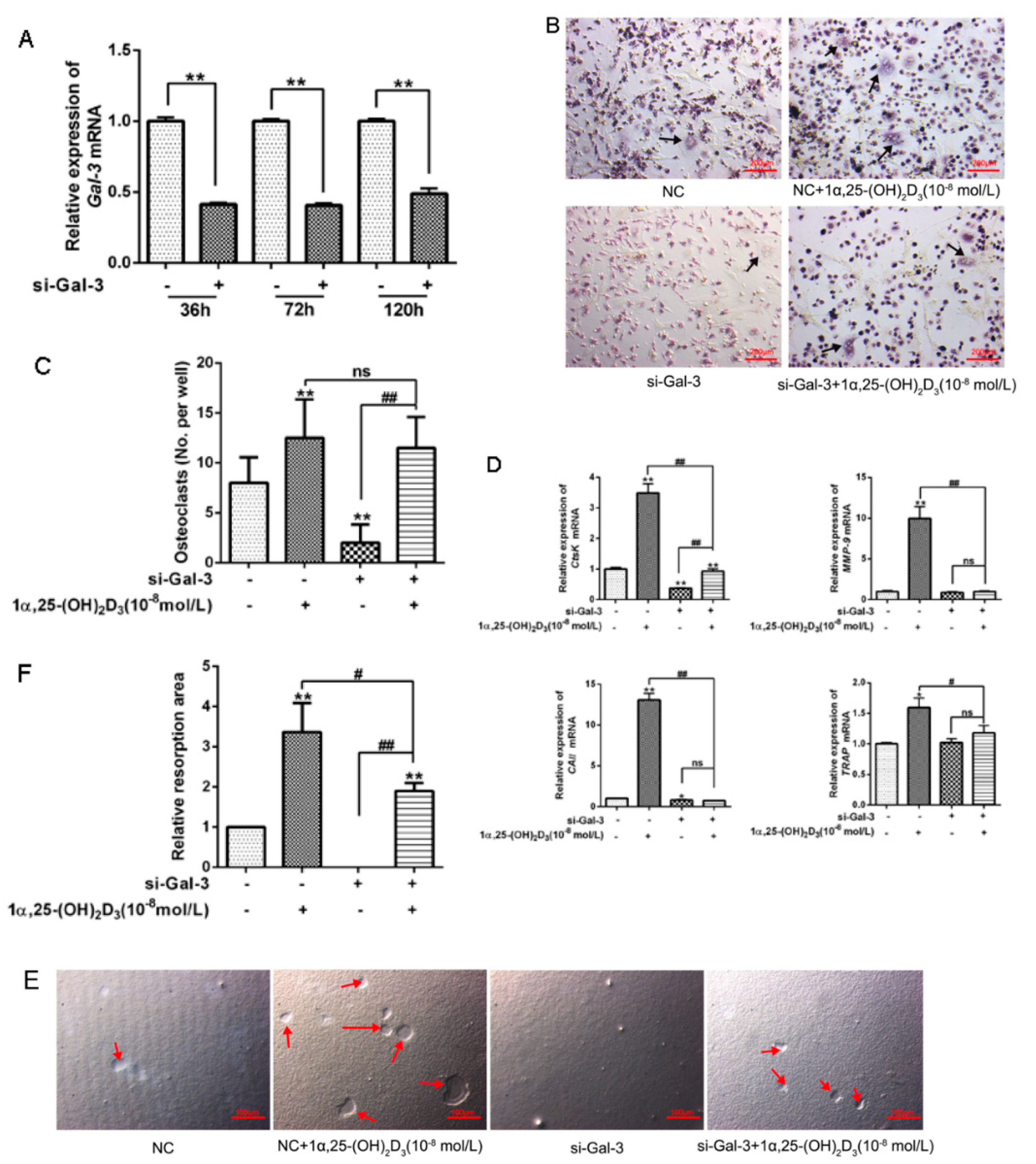 Vetsci 08 00234 g004