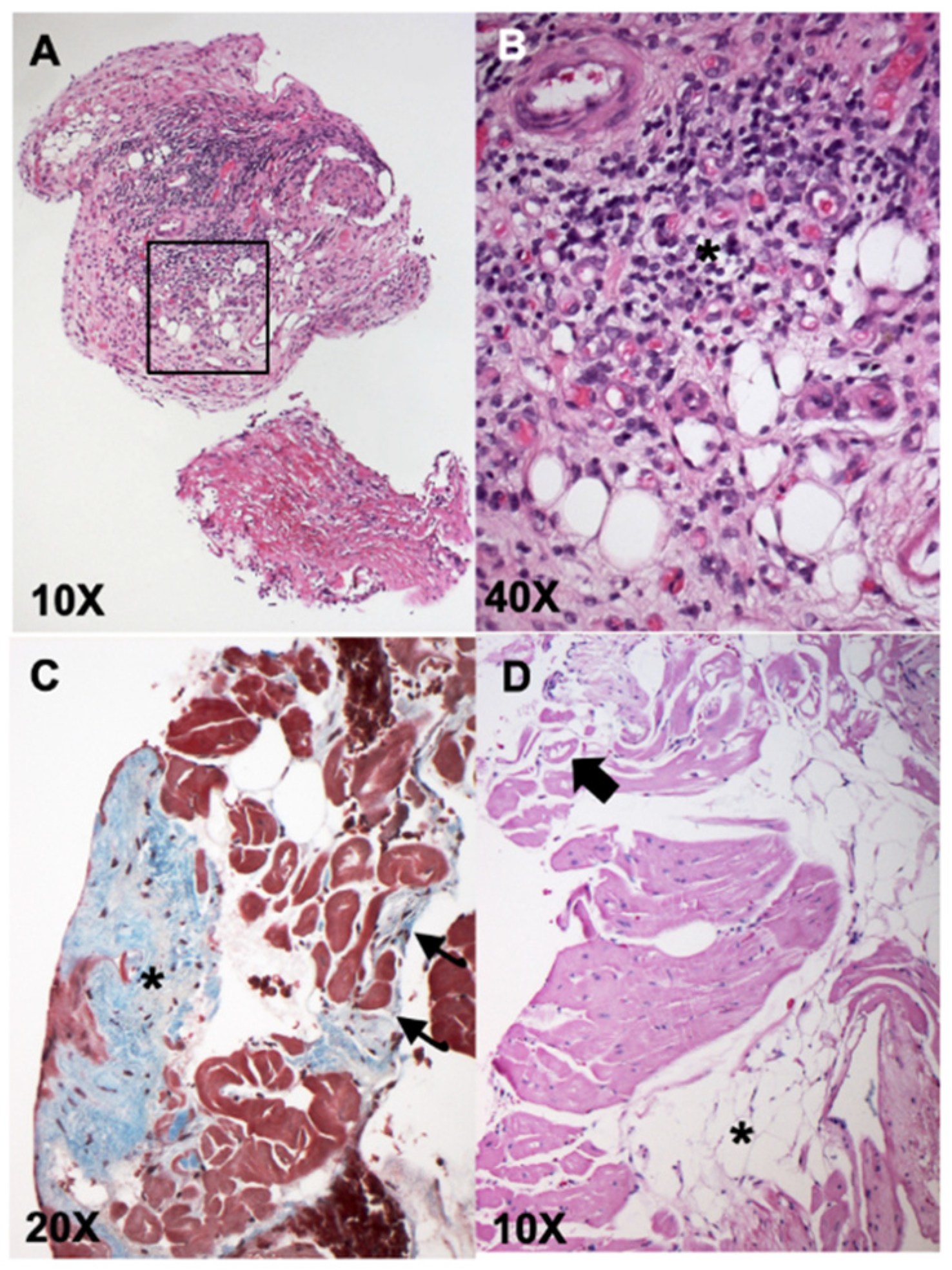 Vetsci 08 00248 g001
