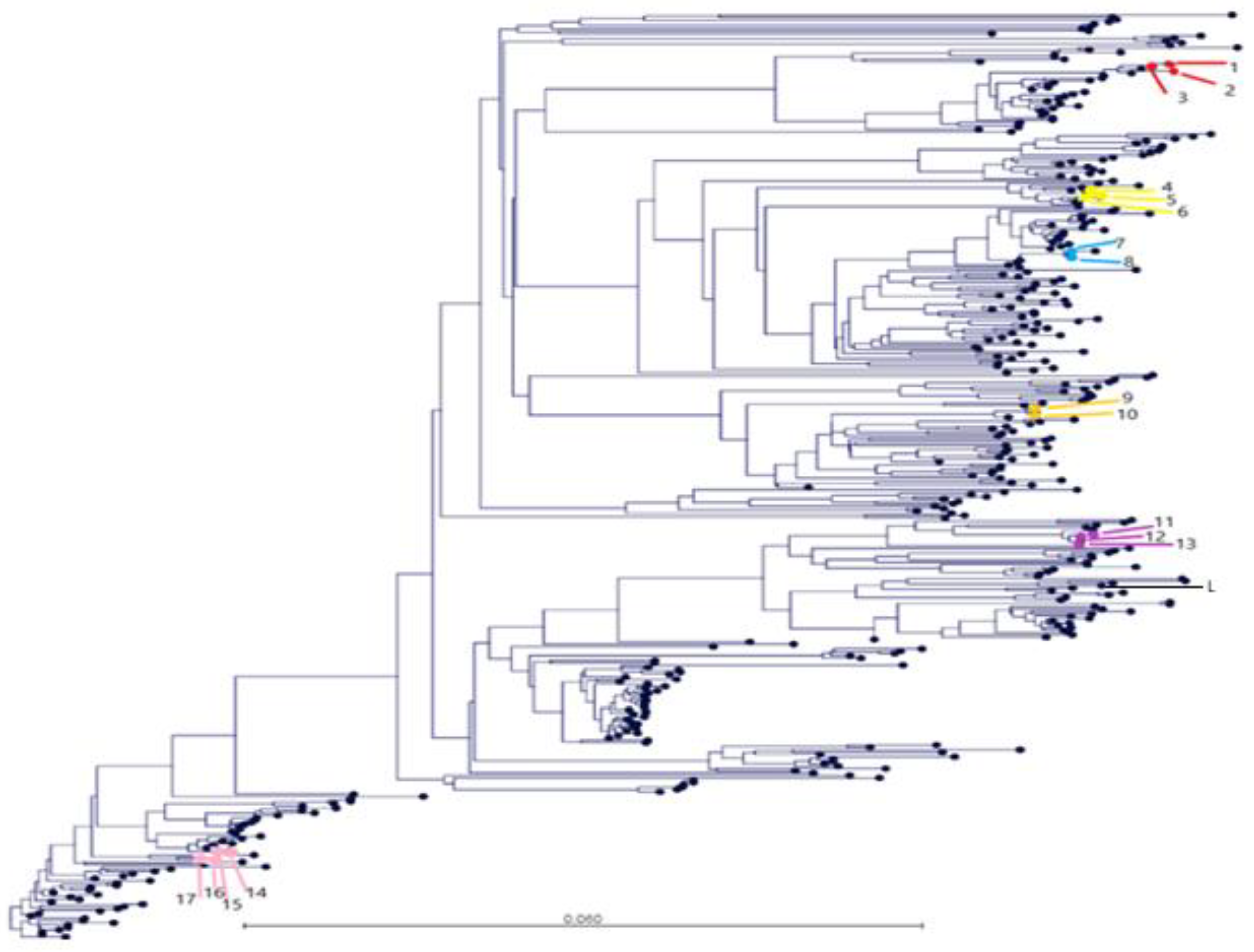Vetsci 08 00259 g003