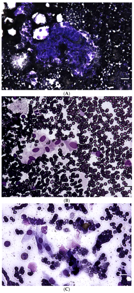 Vetsci 08 00275 g005