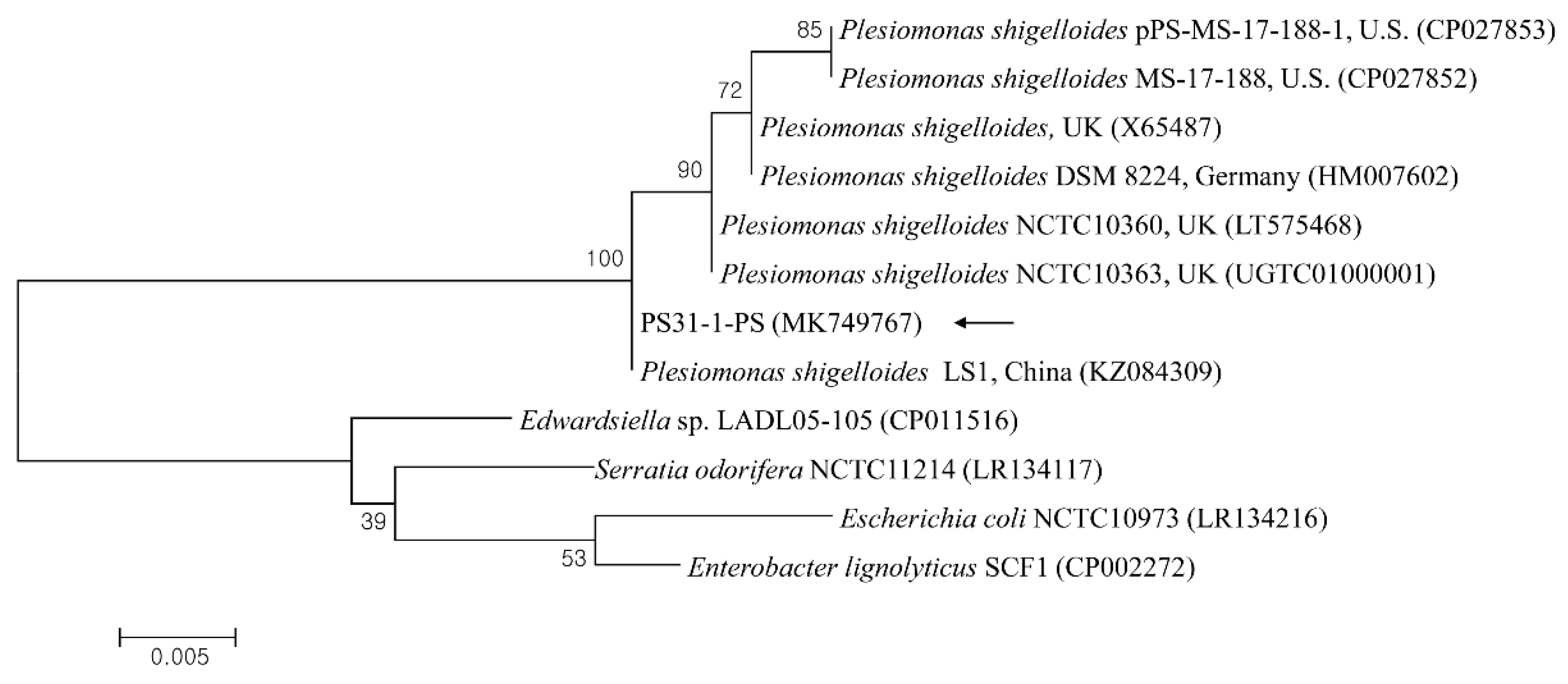 Vetsci 08 00280 g003