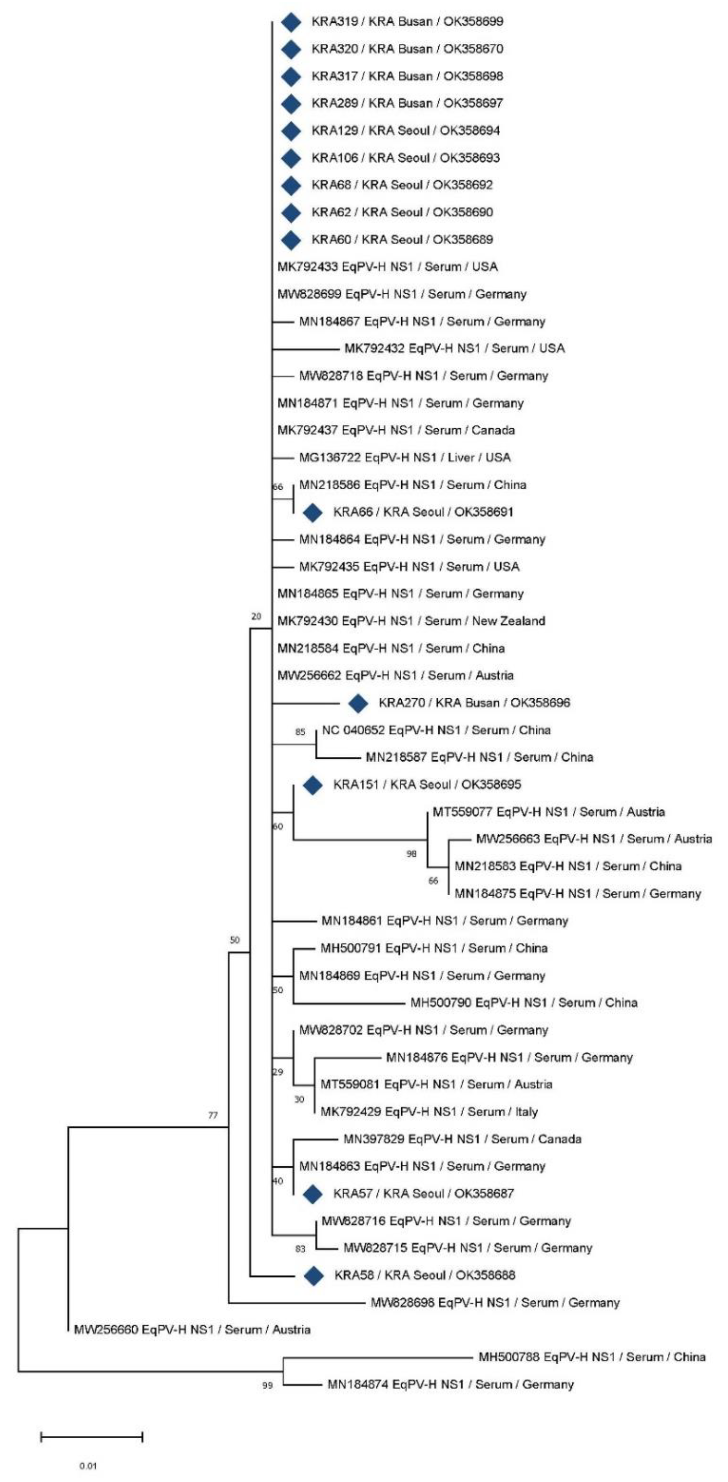Vetsci 08 00282 g001