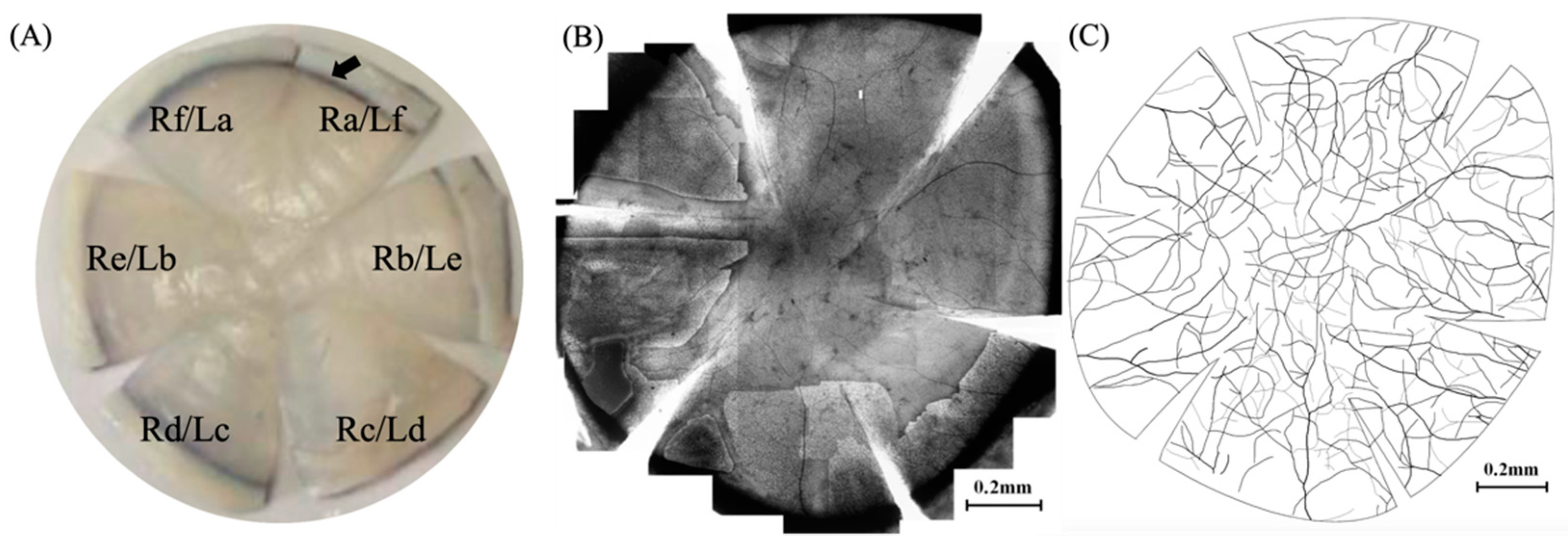 Vetsci 08 00313 g001