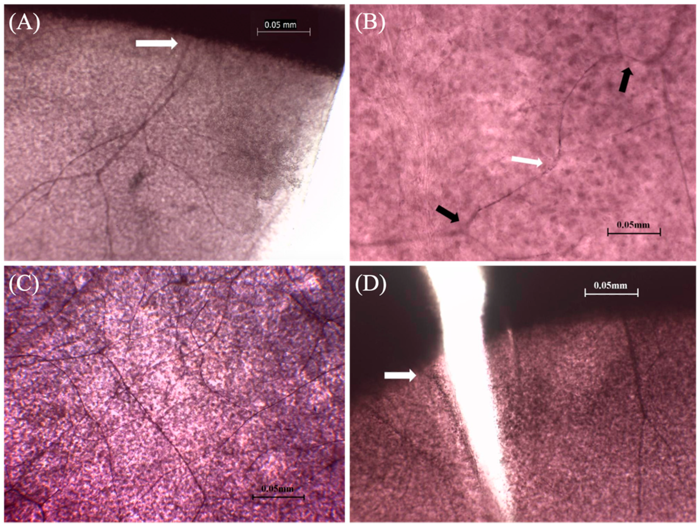 Vetsci 08 00313 g002