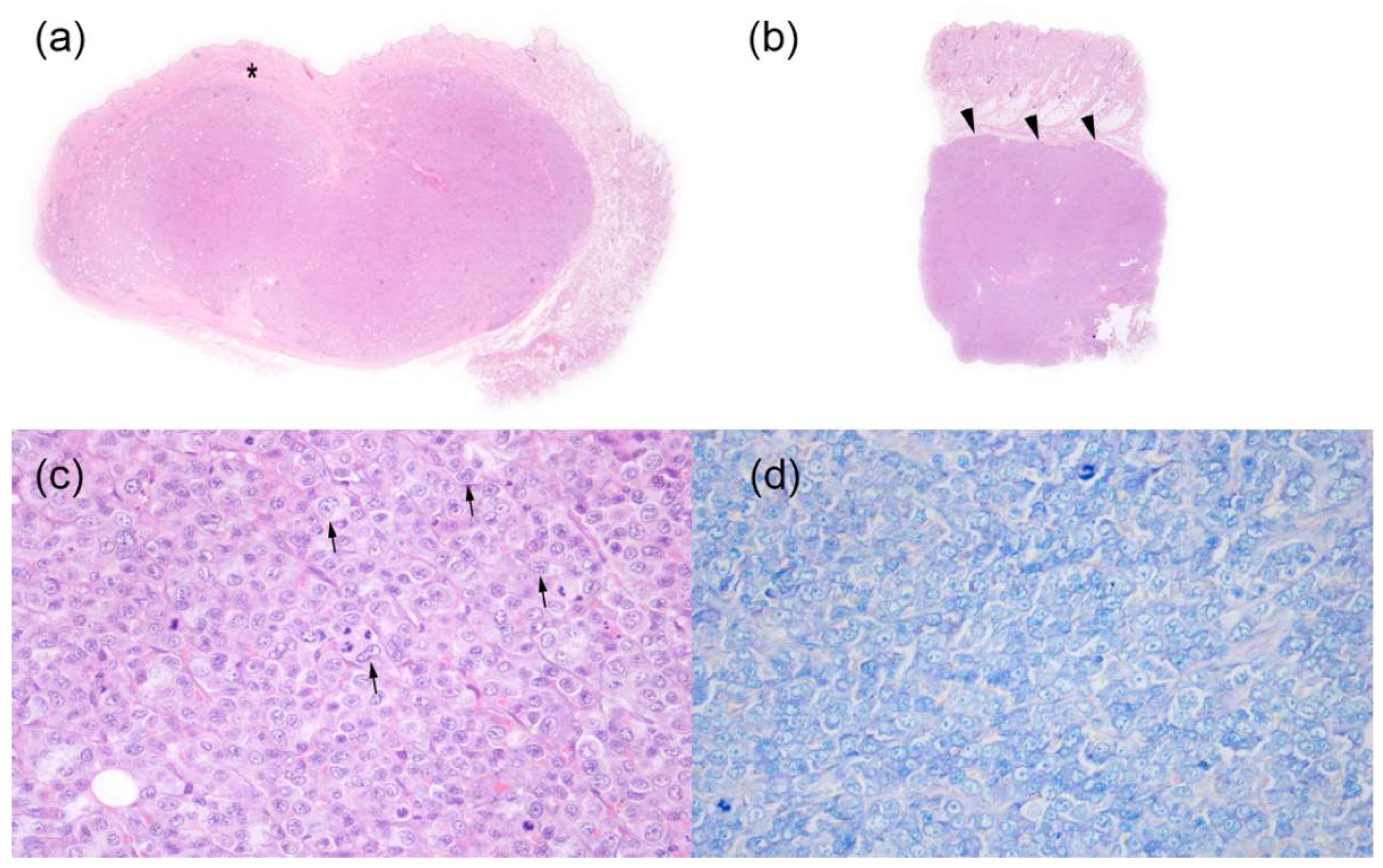 Vetsci 08 00317 g003