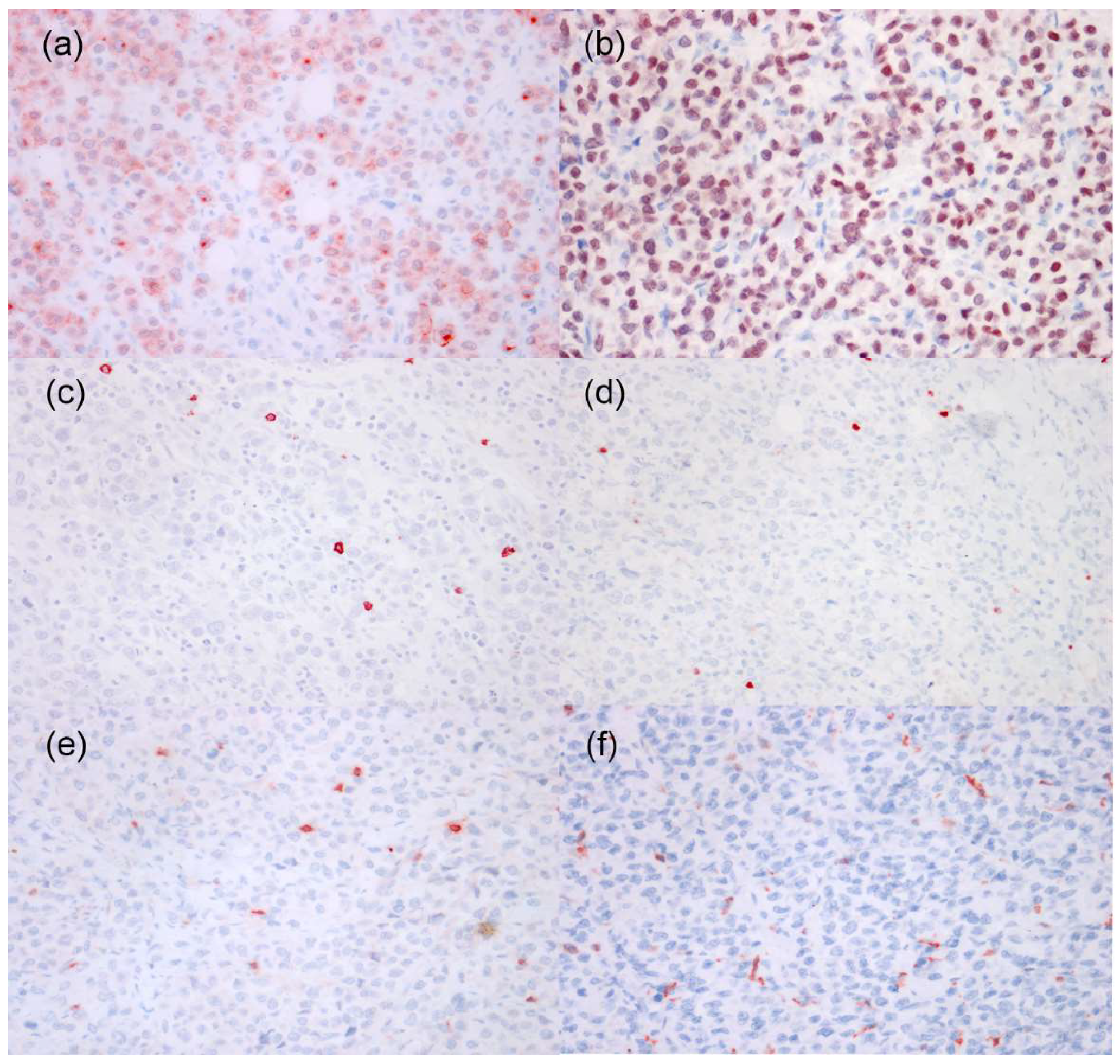 Vetsci 08 00317 g004