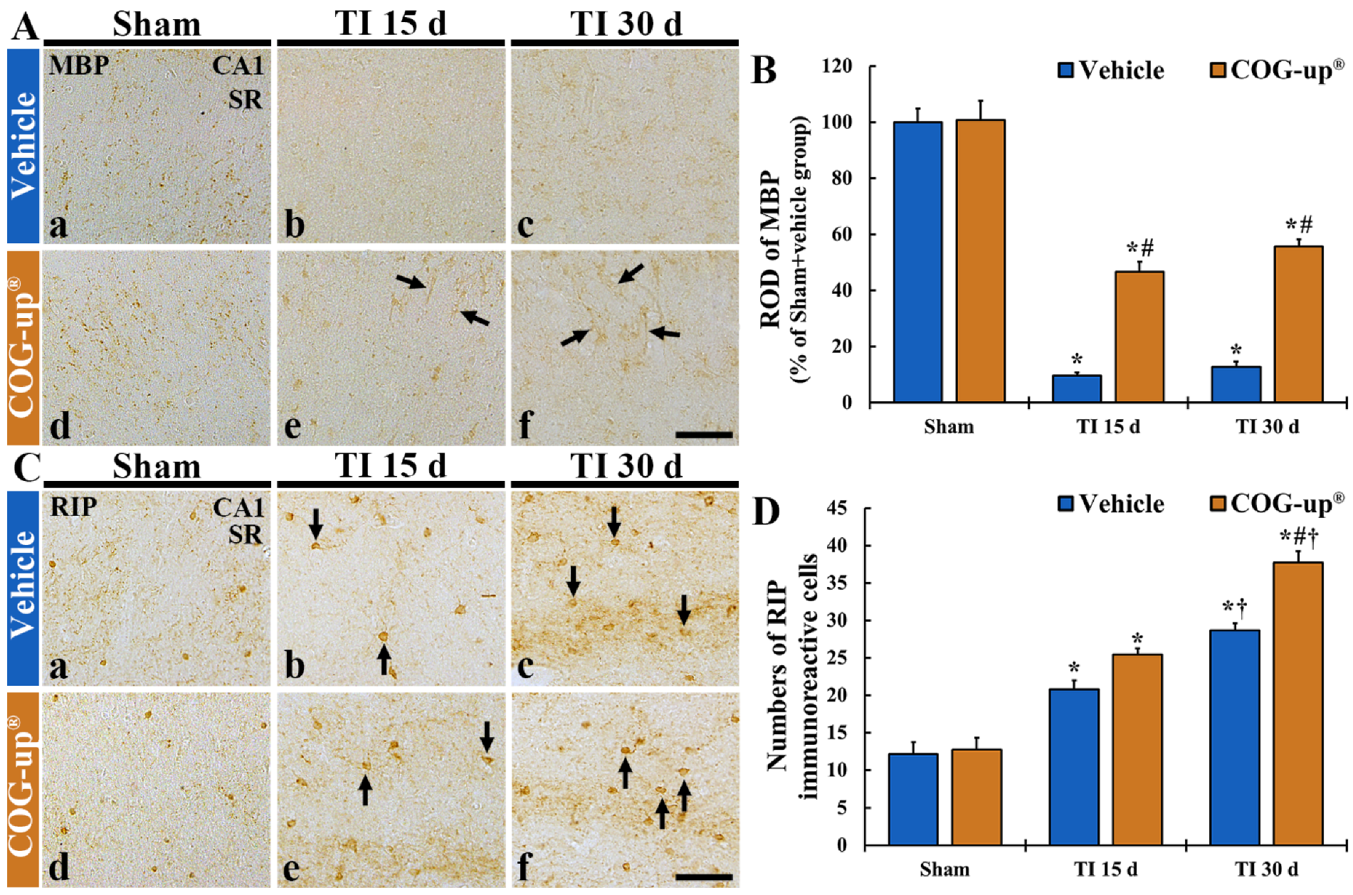 Vetsci 08 00321 g006