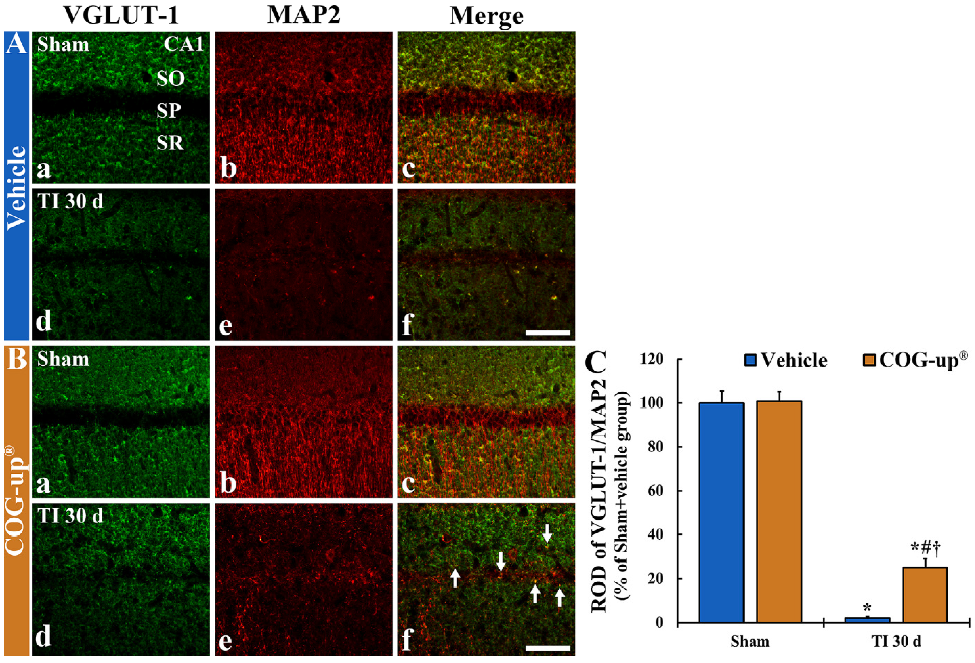 Vetsci 08 00321 g007