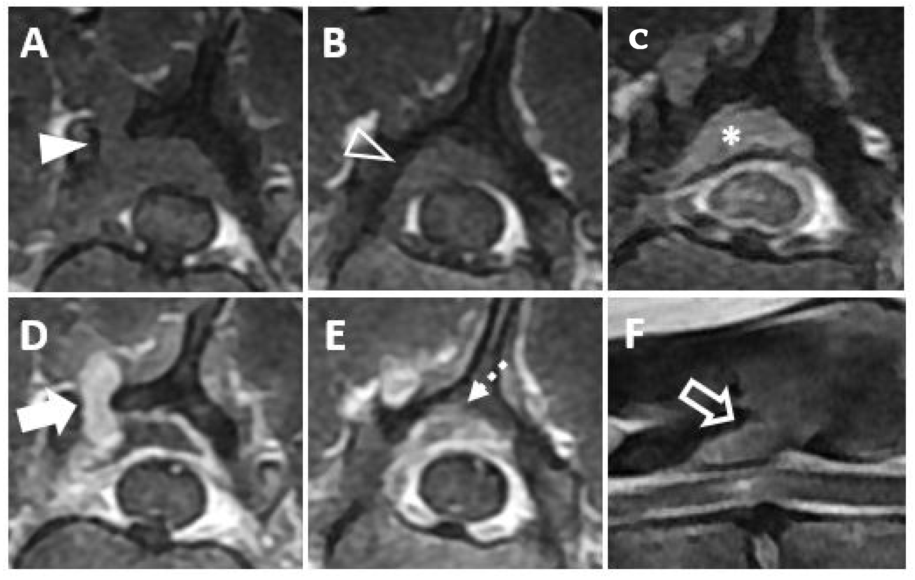 Vetsci 09 00003 g002