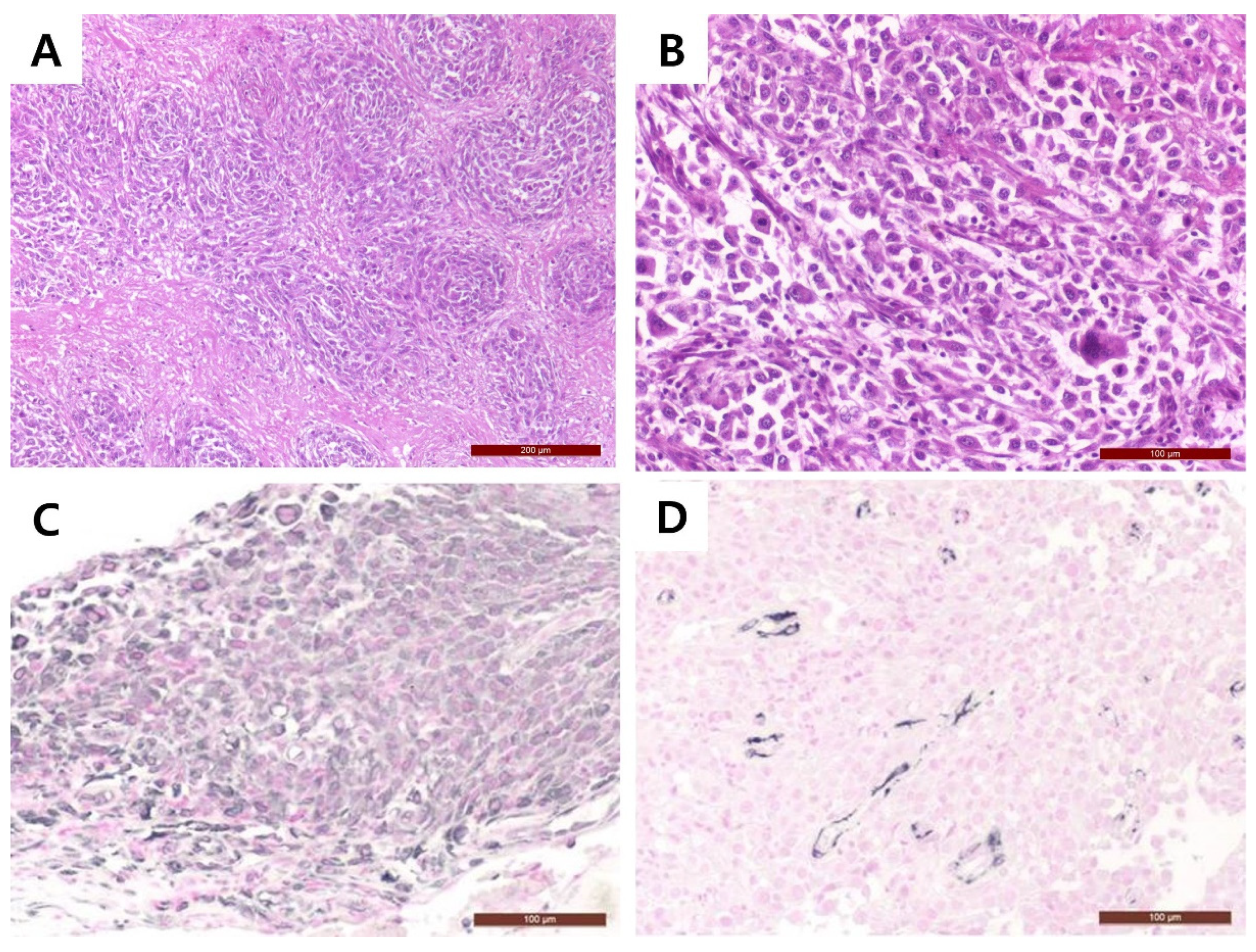 Vetsci 09 00003 g003