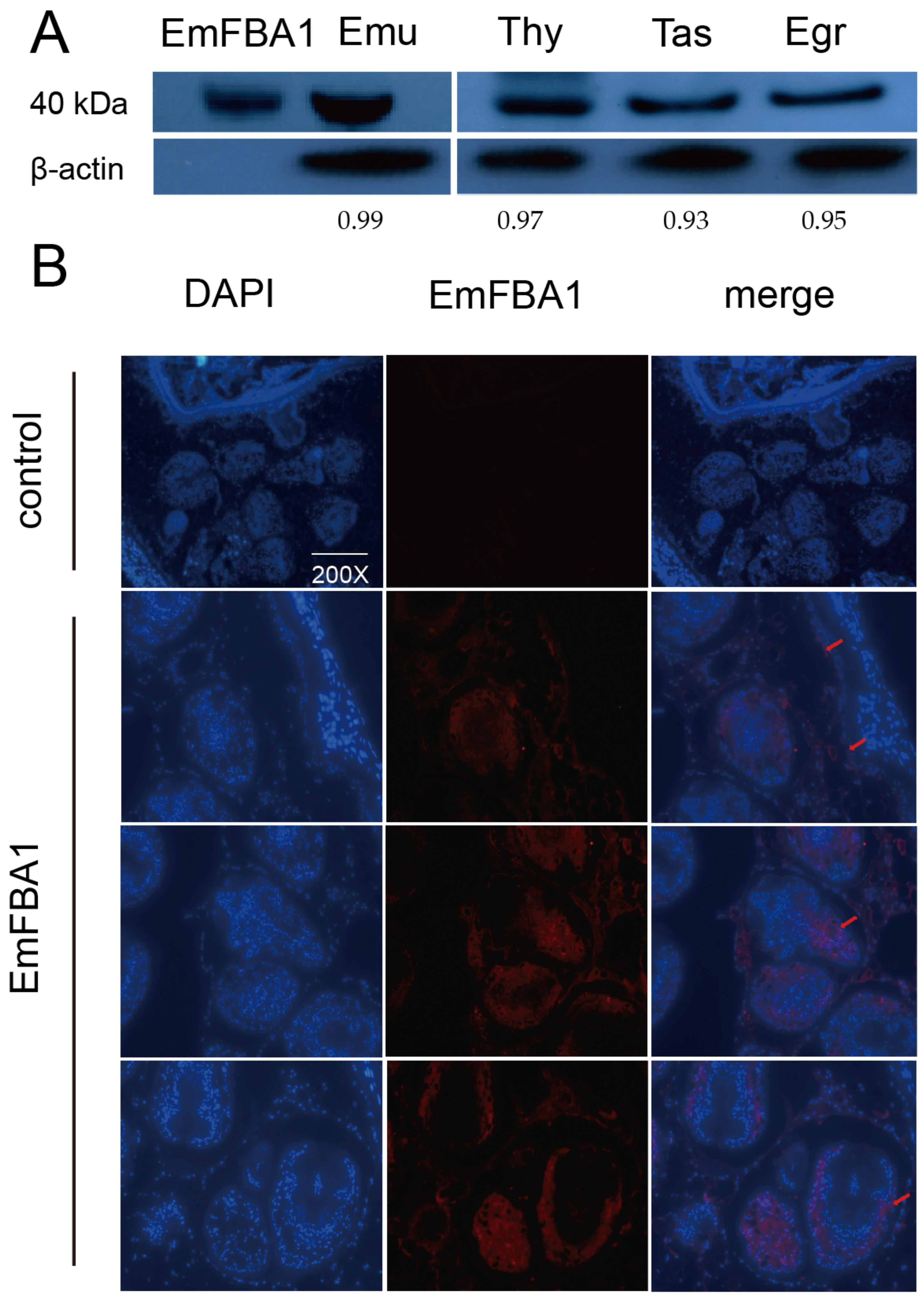 Vetsci 09 00004 g002