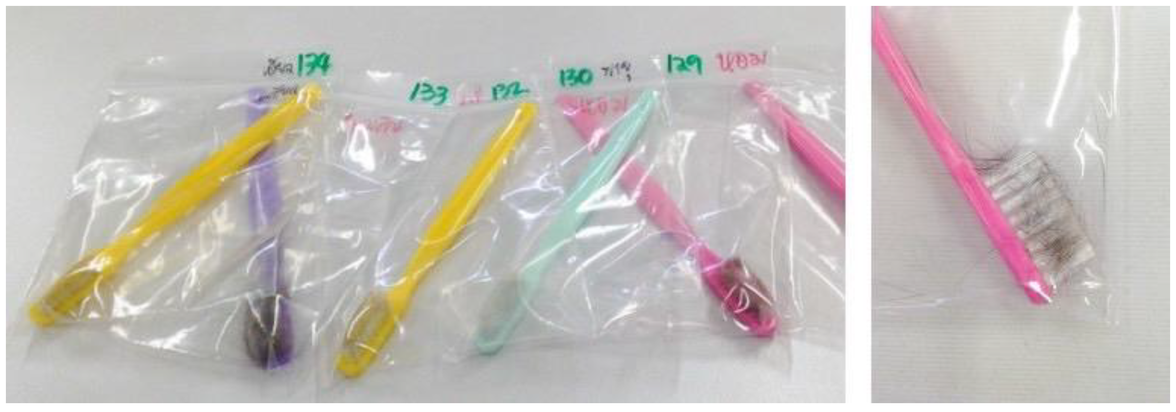 Vetsci 09 00021 g001