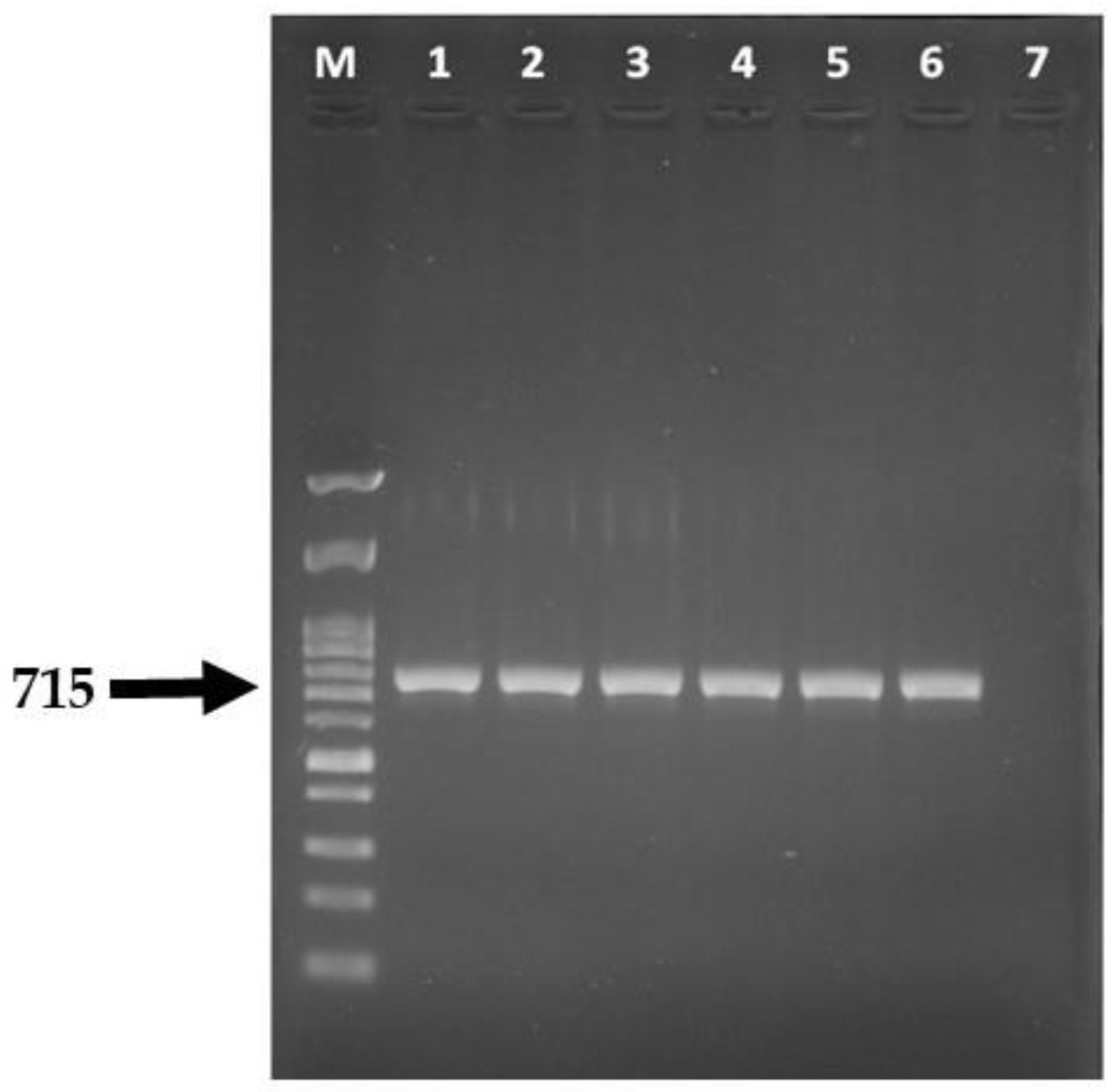 Vetsci 09 00021 g004