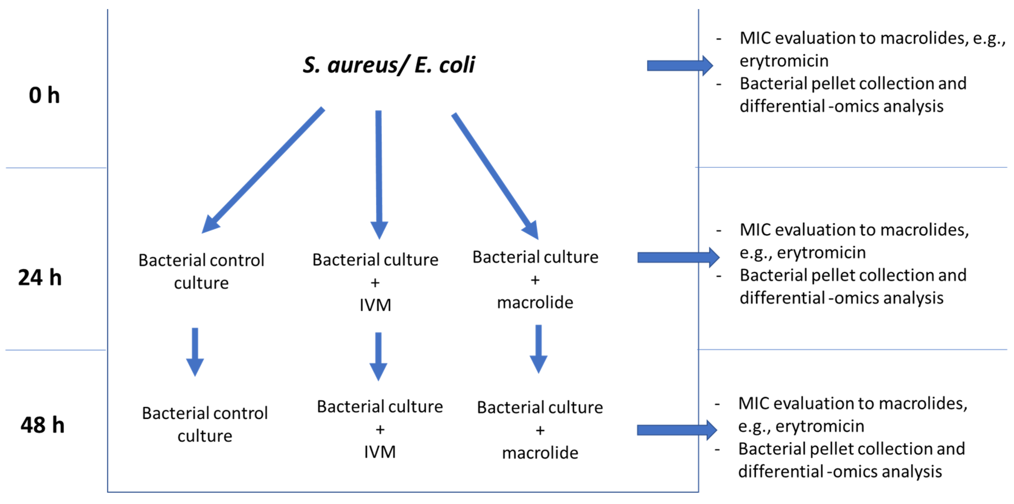 Vetsci 09 00024 g001