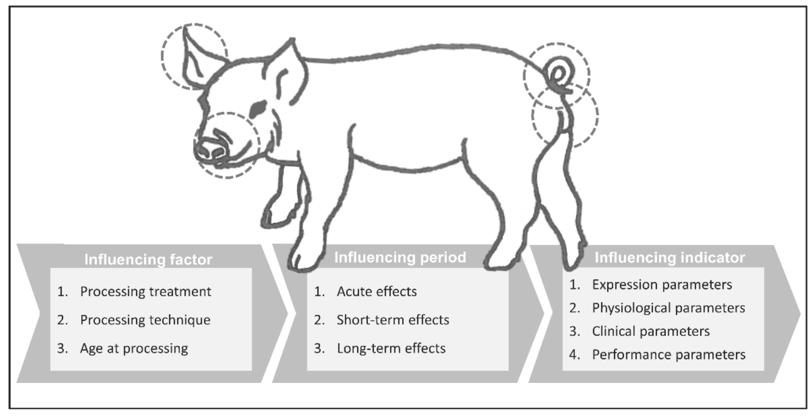 Vetsci 09 00032 g002 Vetsci 09 00032 g002