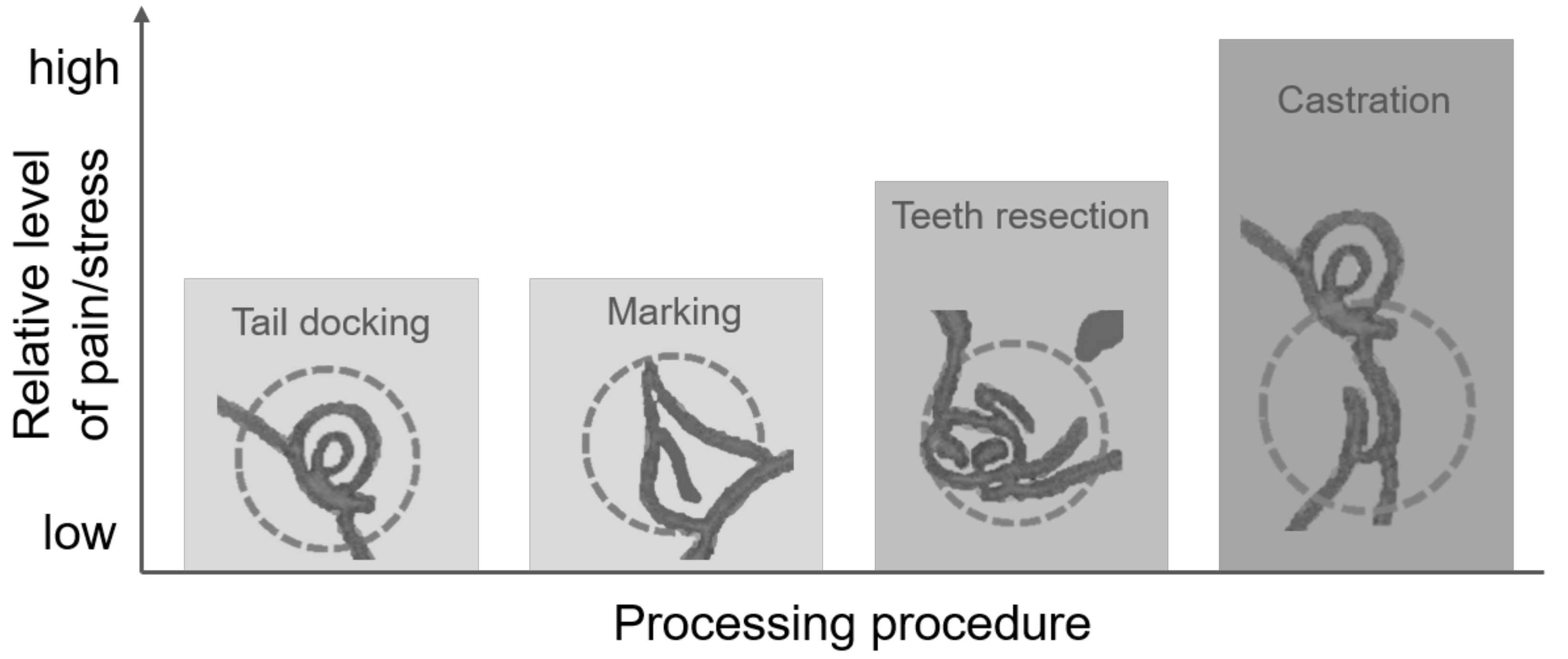 Vetsci 09 00032 g005 Vetsci 09 00032 g005