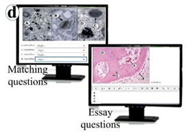 Vetsci 09 00051 i002