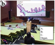 Vetsci 09 00051 i003