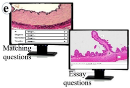 Vetsci 09 00051 i005