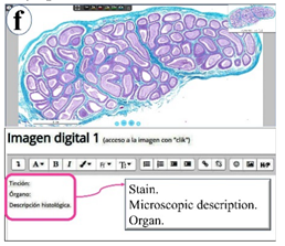 Vetsci 09 00051 i006