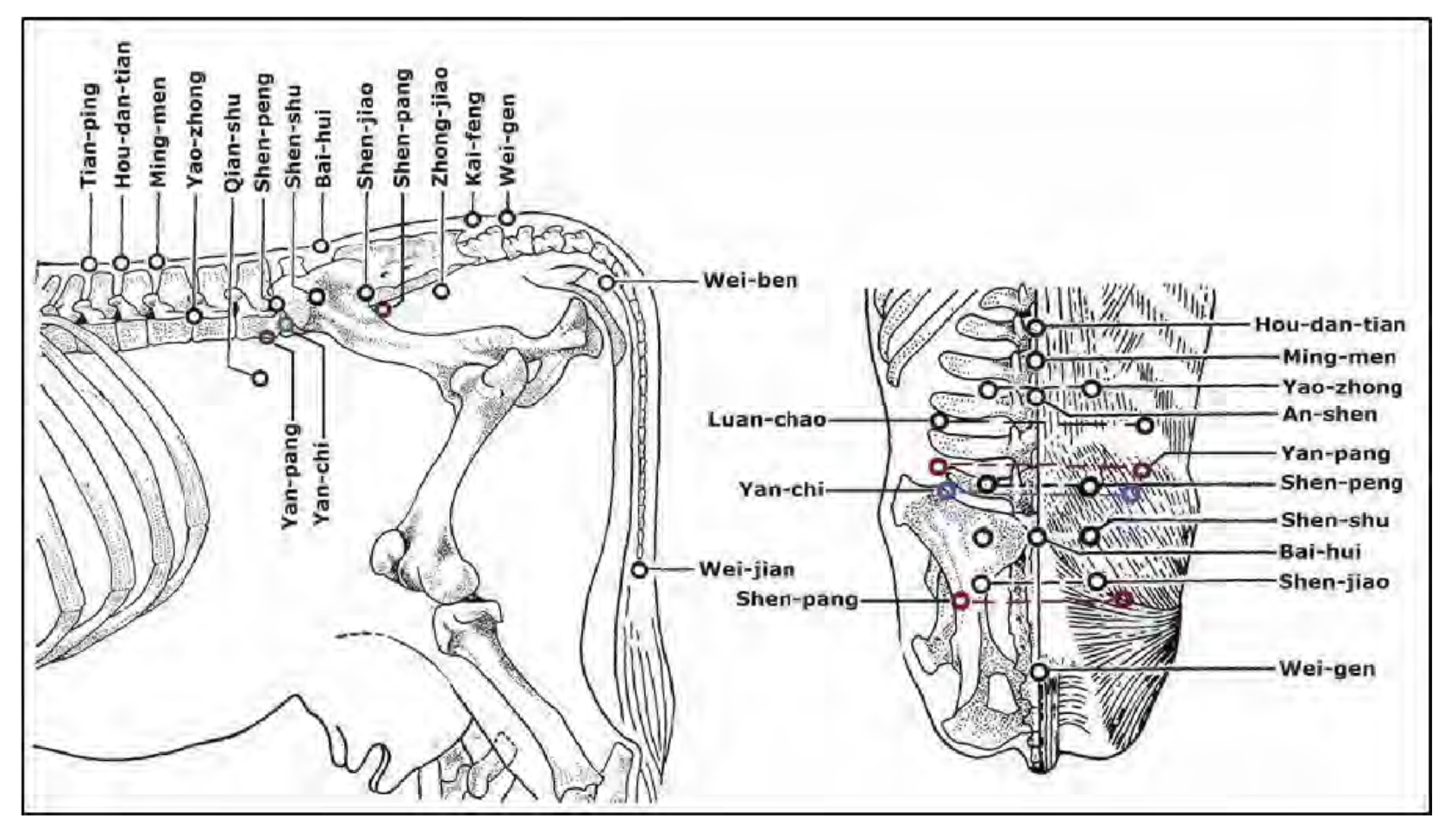 Vetsci 09 00053 g002