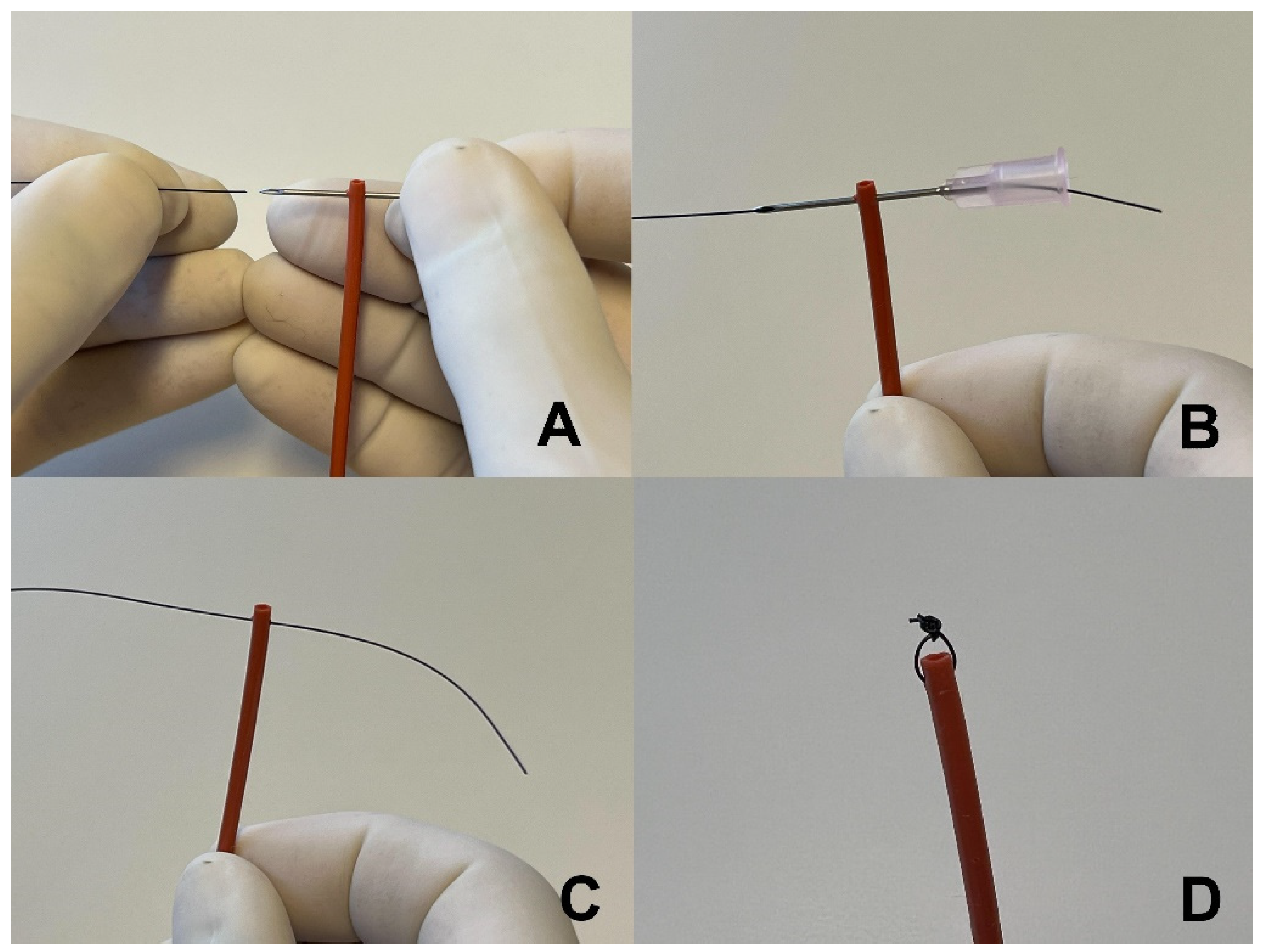 Vetsci 09 00063 g001