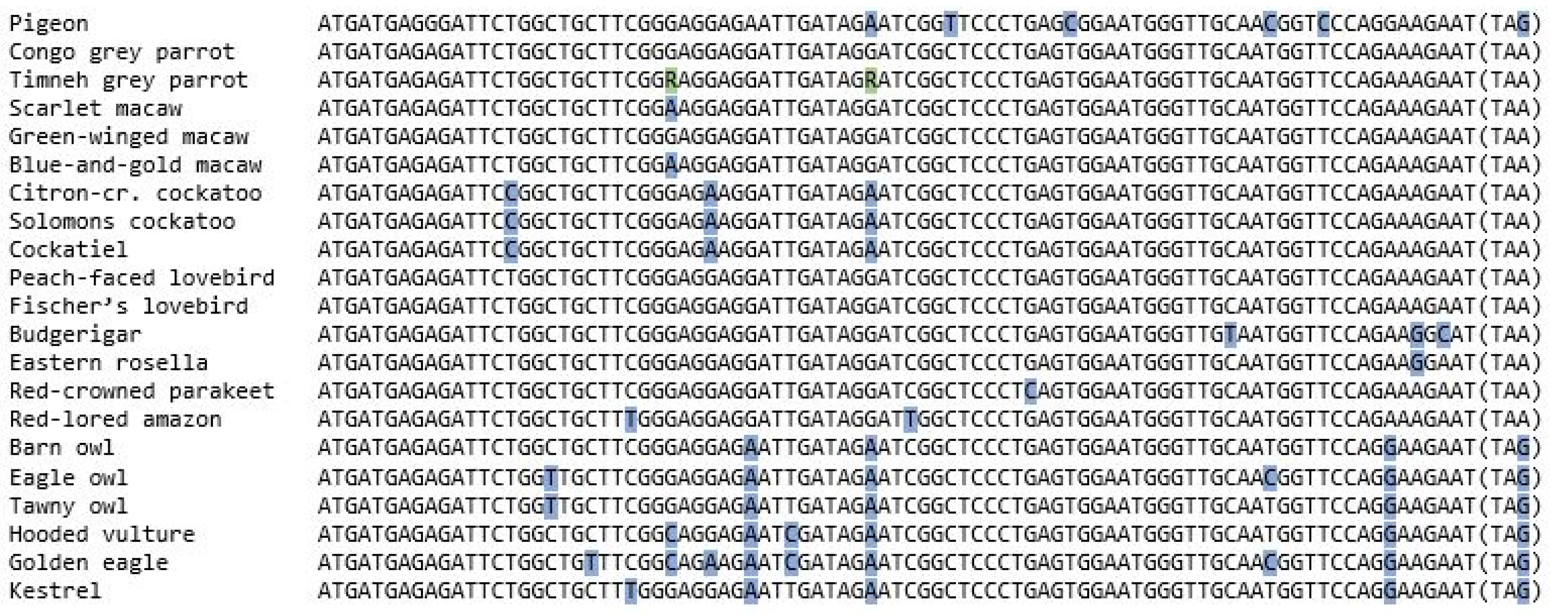 Vetsci 09 00064 g002