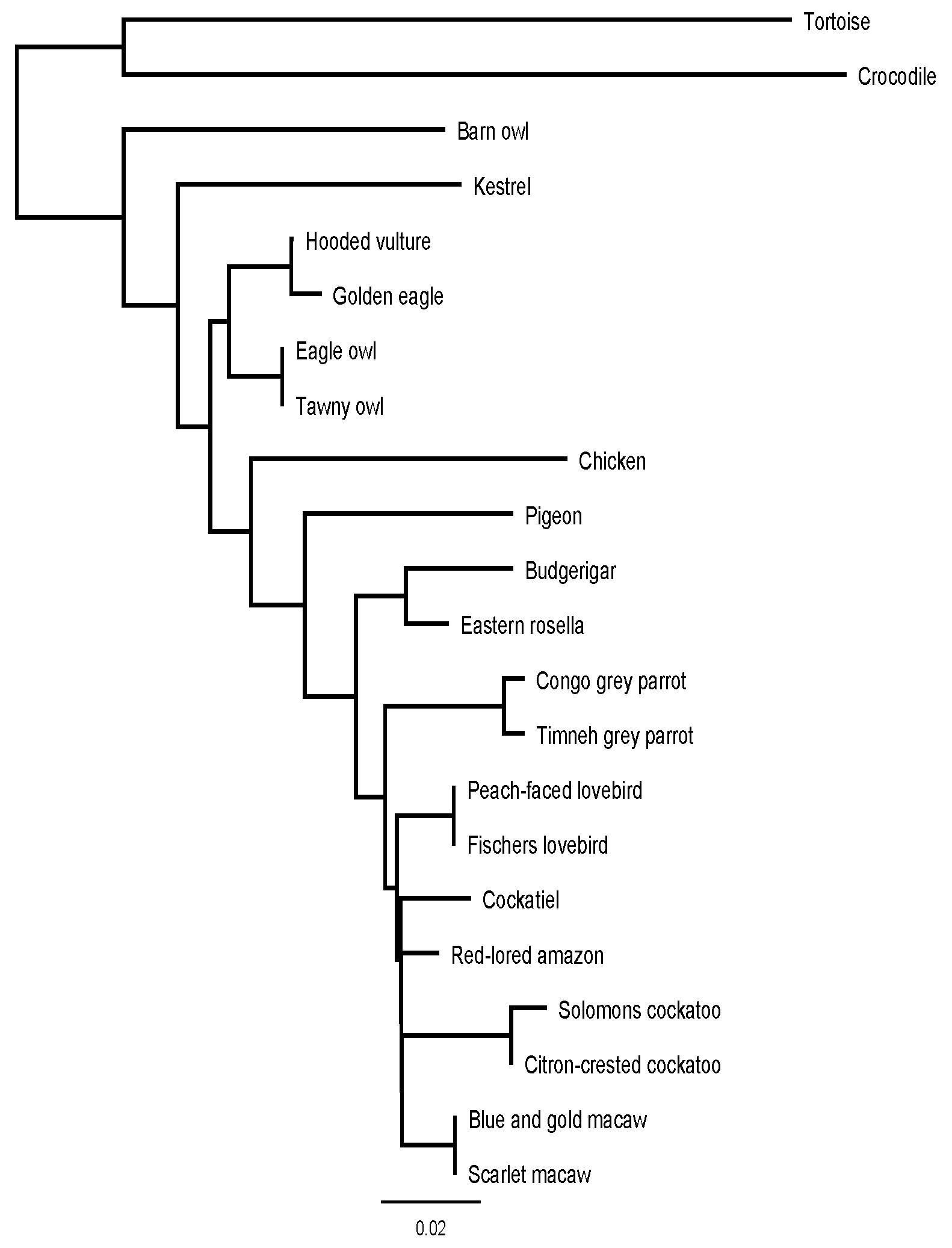 Vetsci 09 00064 g005