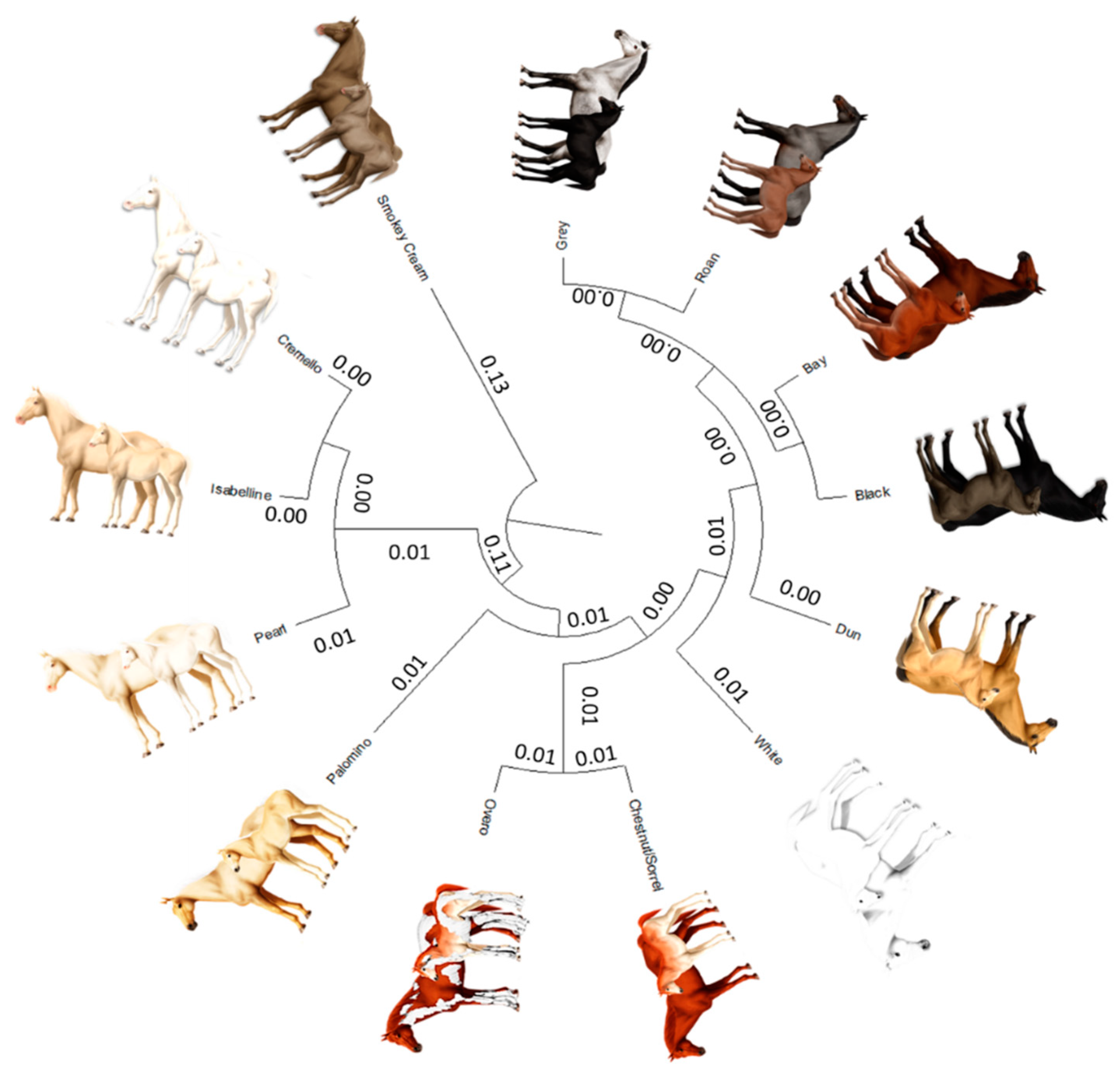 Vetsci 09 00068 g008