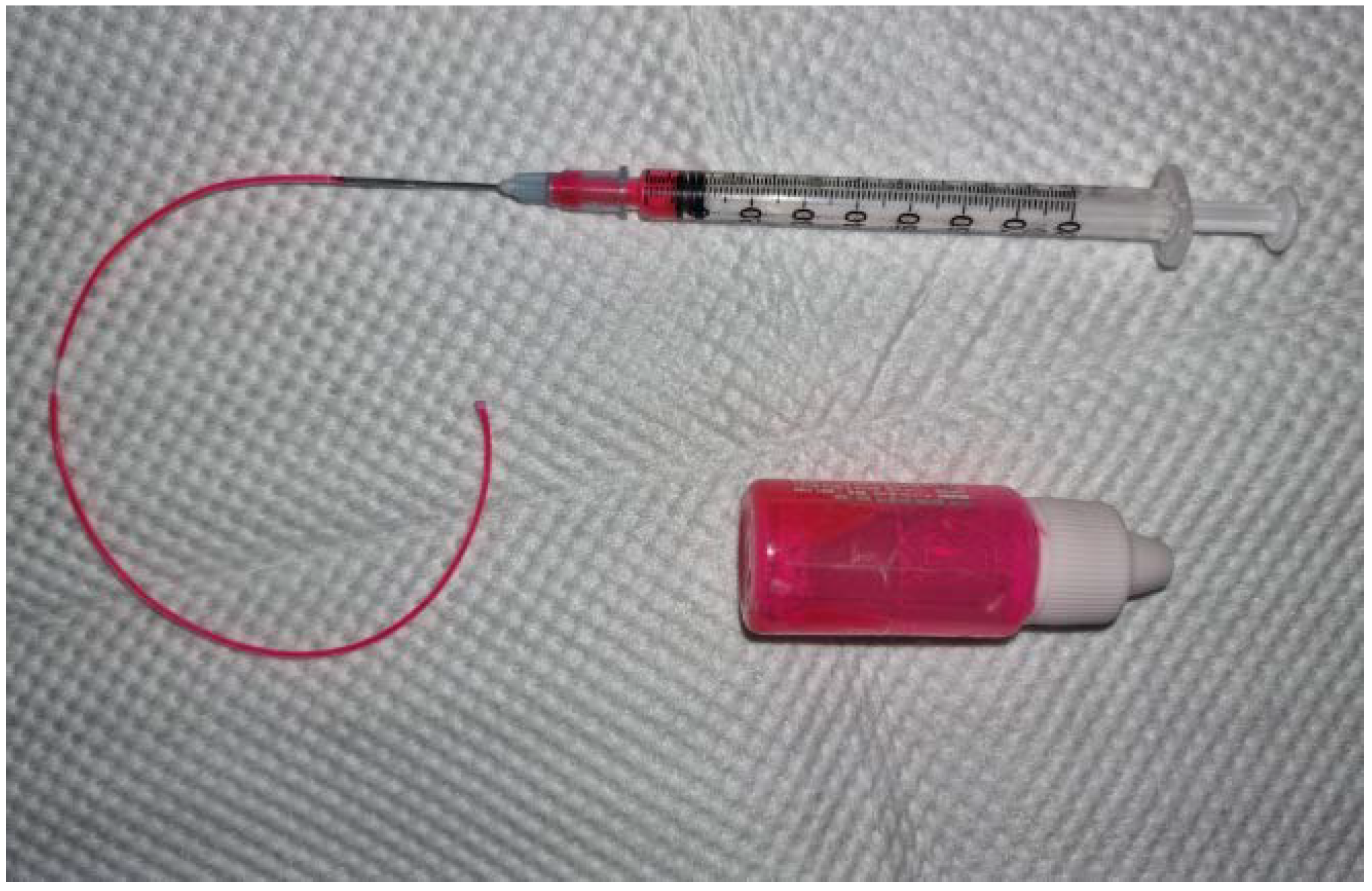 Vetsci 09 00069 g001
