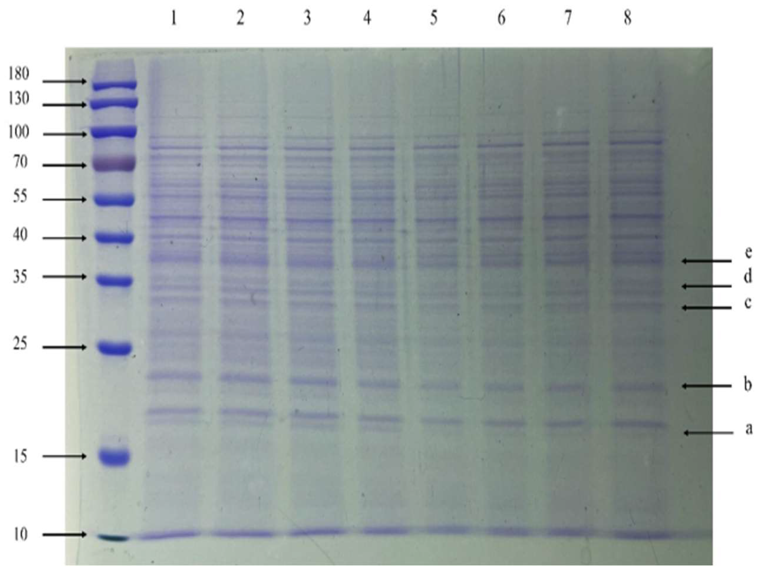 Vetsci 09 00071 g008