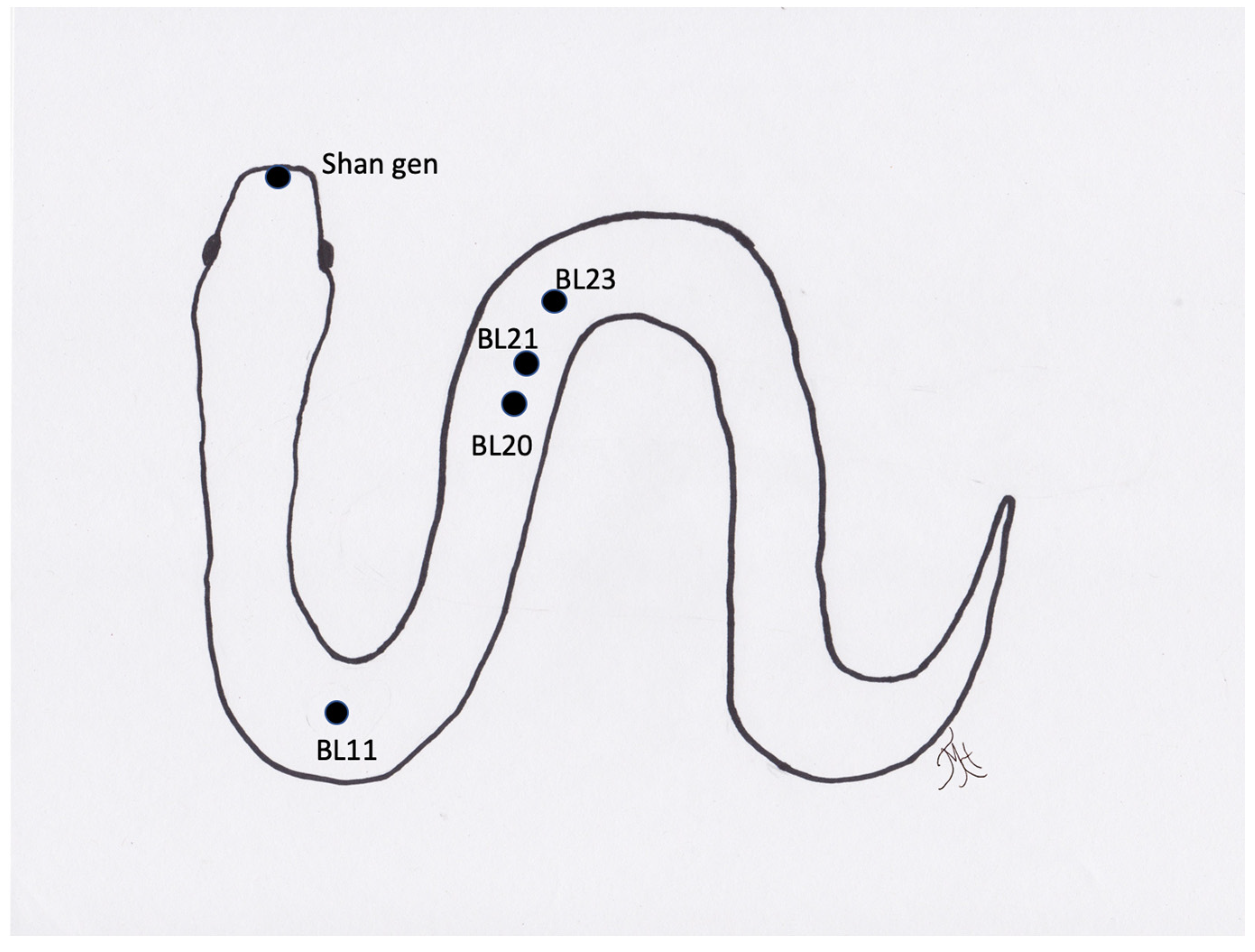 Vetsci 09 00074 g005