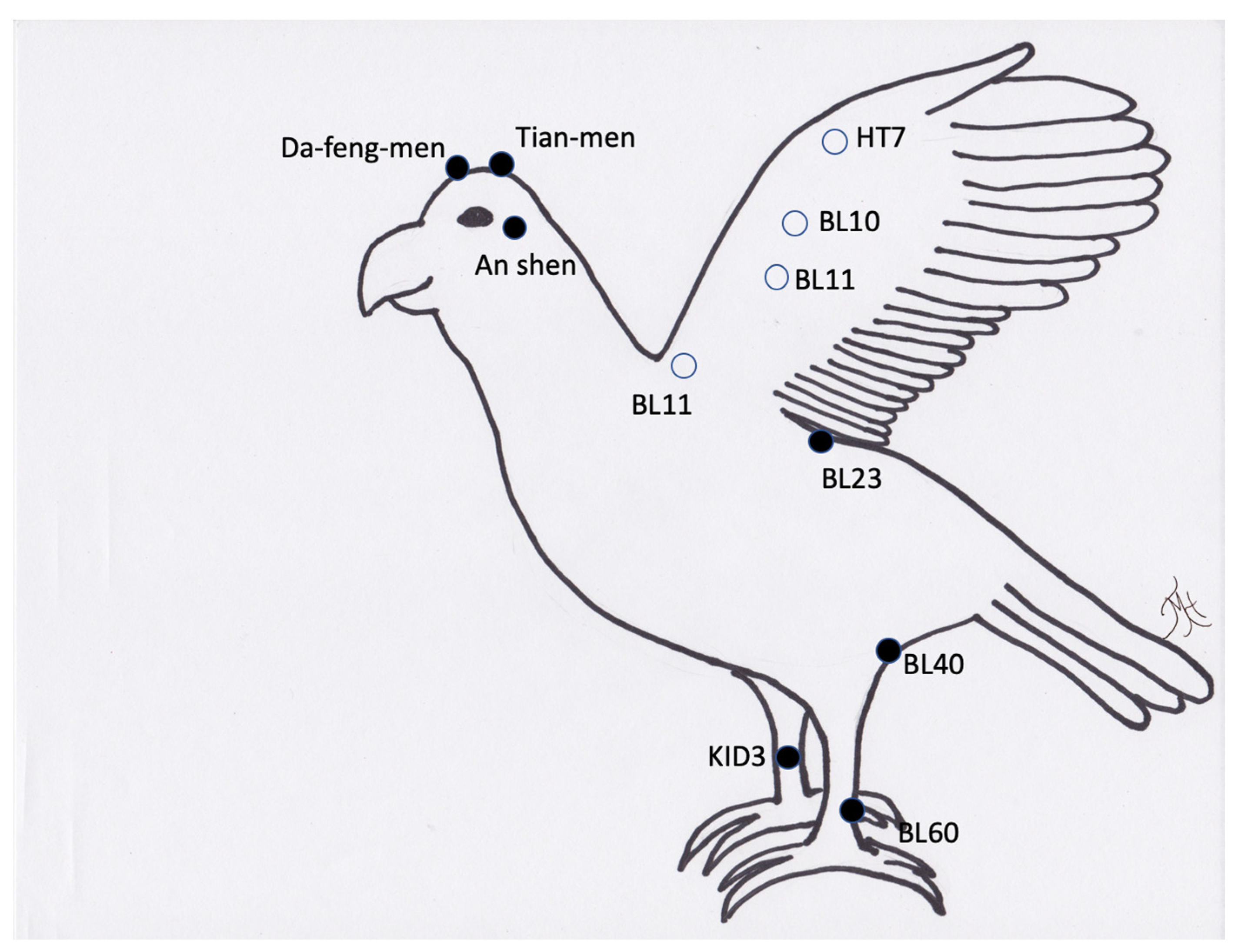 Vetsci 09 00074 g007