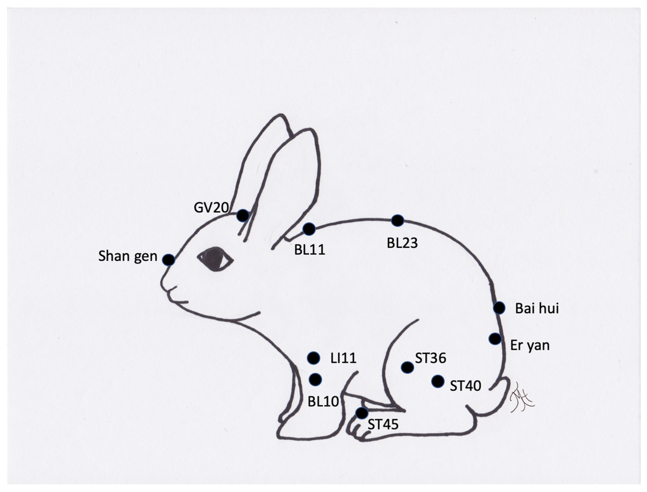 Vetsci 09 00074 g009