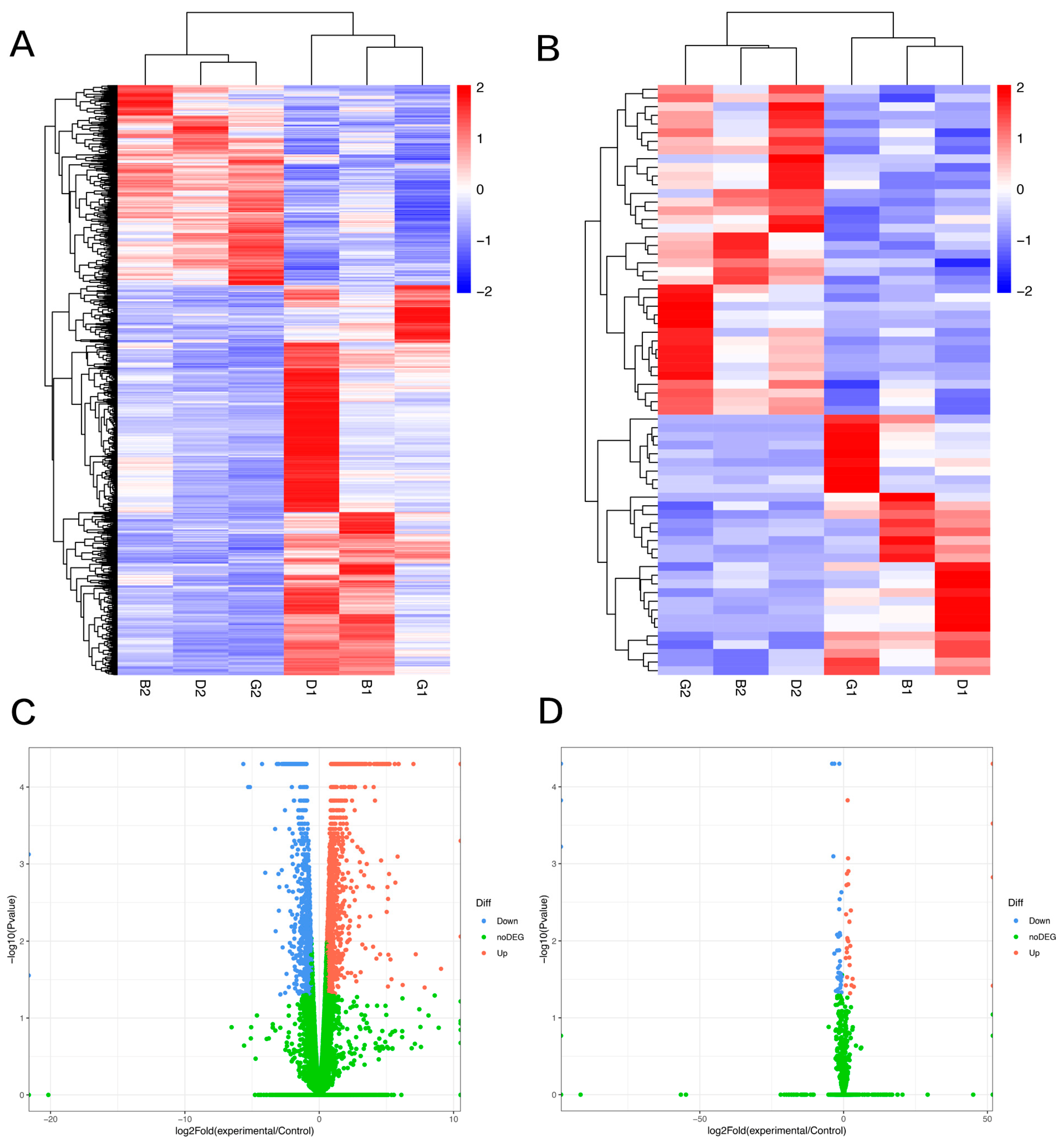 Vetsci 09 00082 g001
