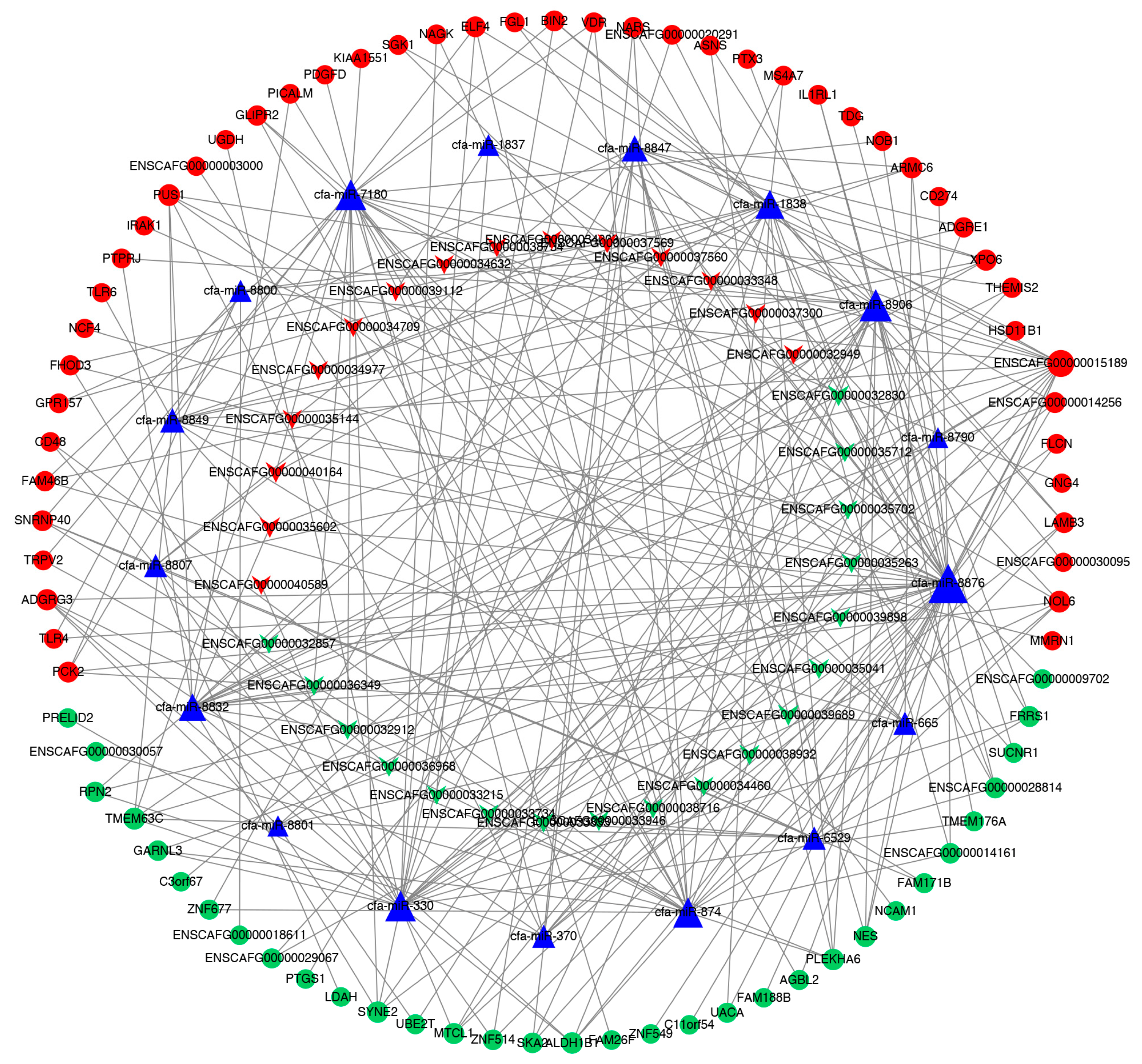 Vetsci 09 00082 g004