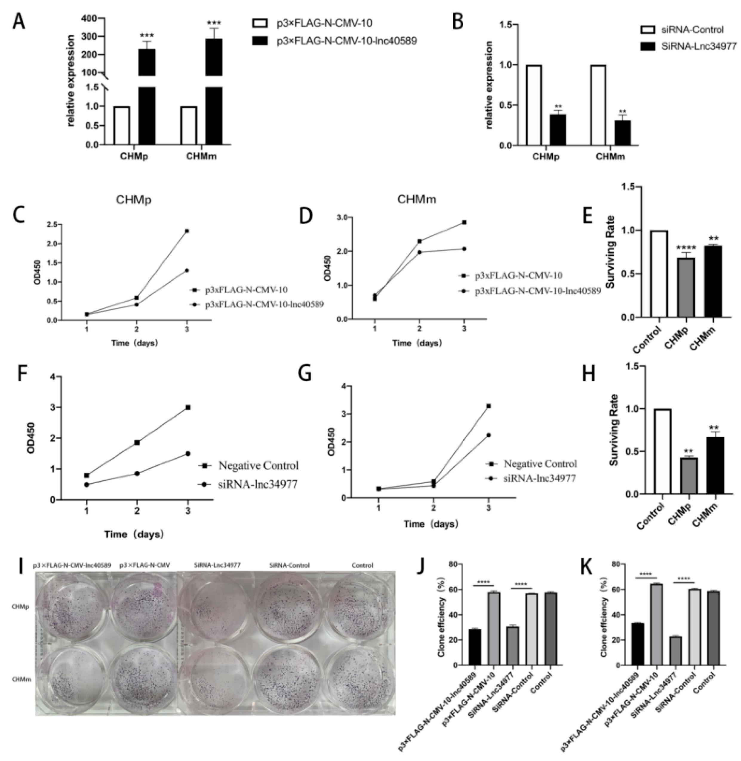 Vetsci 09 00082 g008